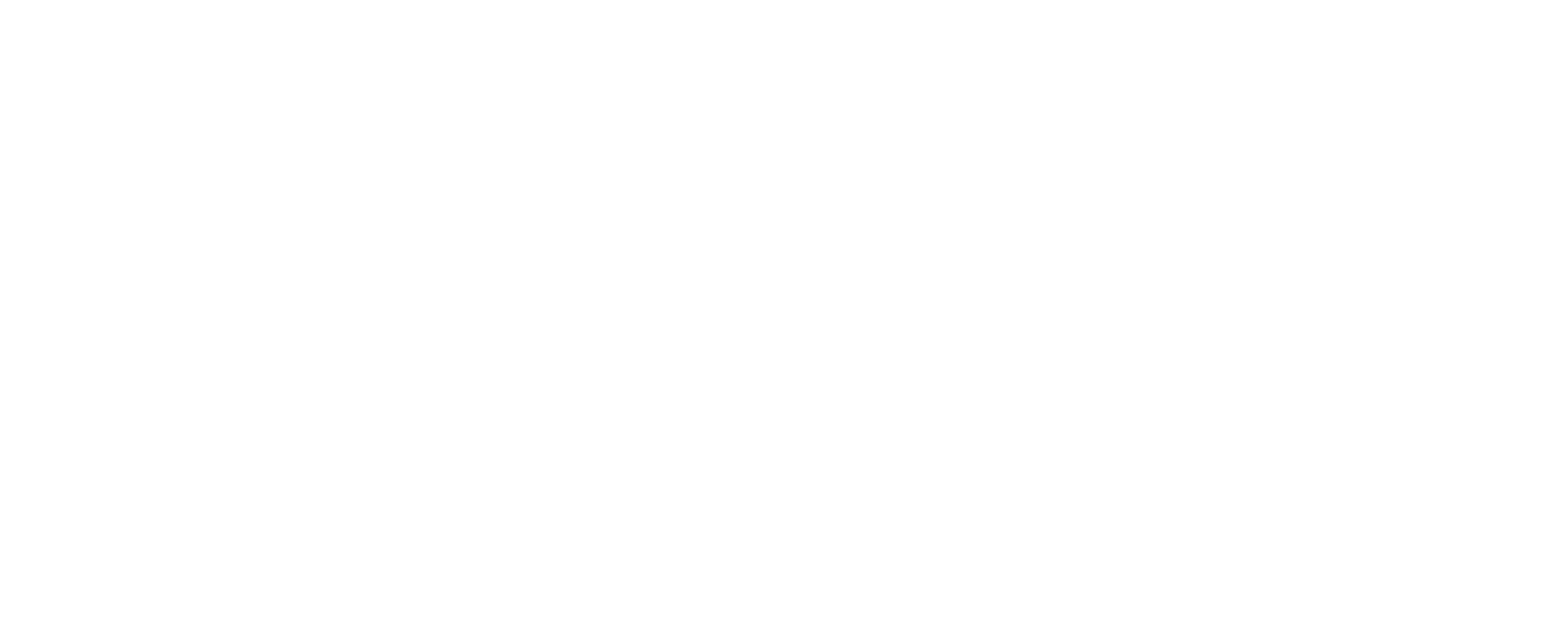 dusk-logo-light.png