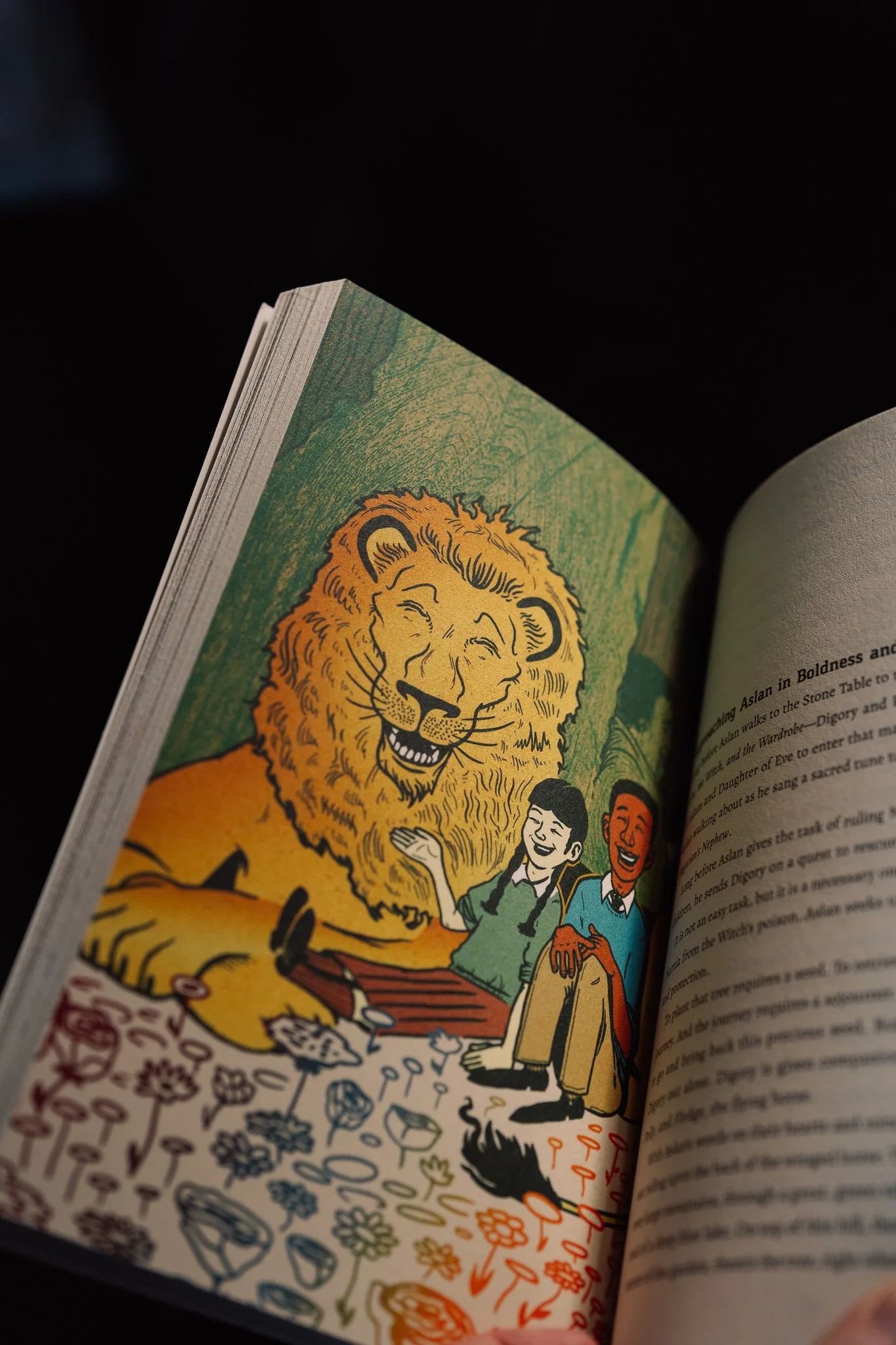 lutherandthelion_photos-11.jpg