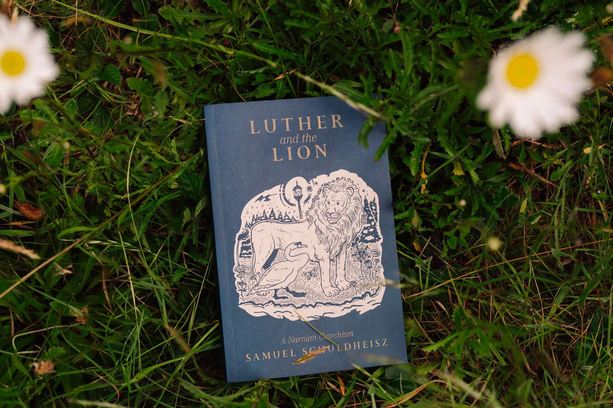 lutherandthelion_photos-16.jpg