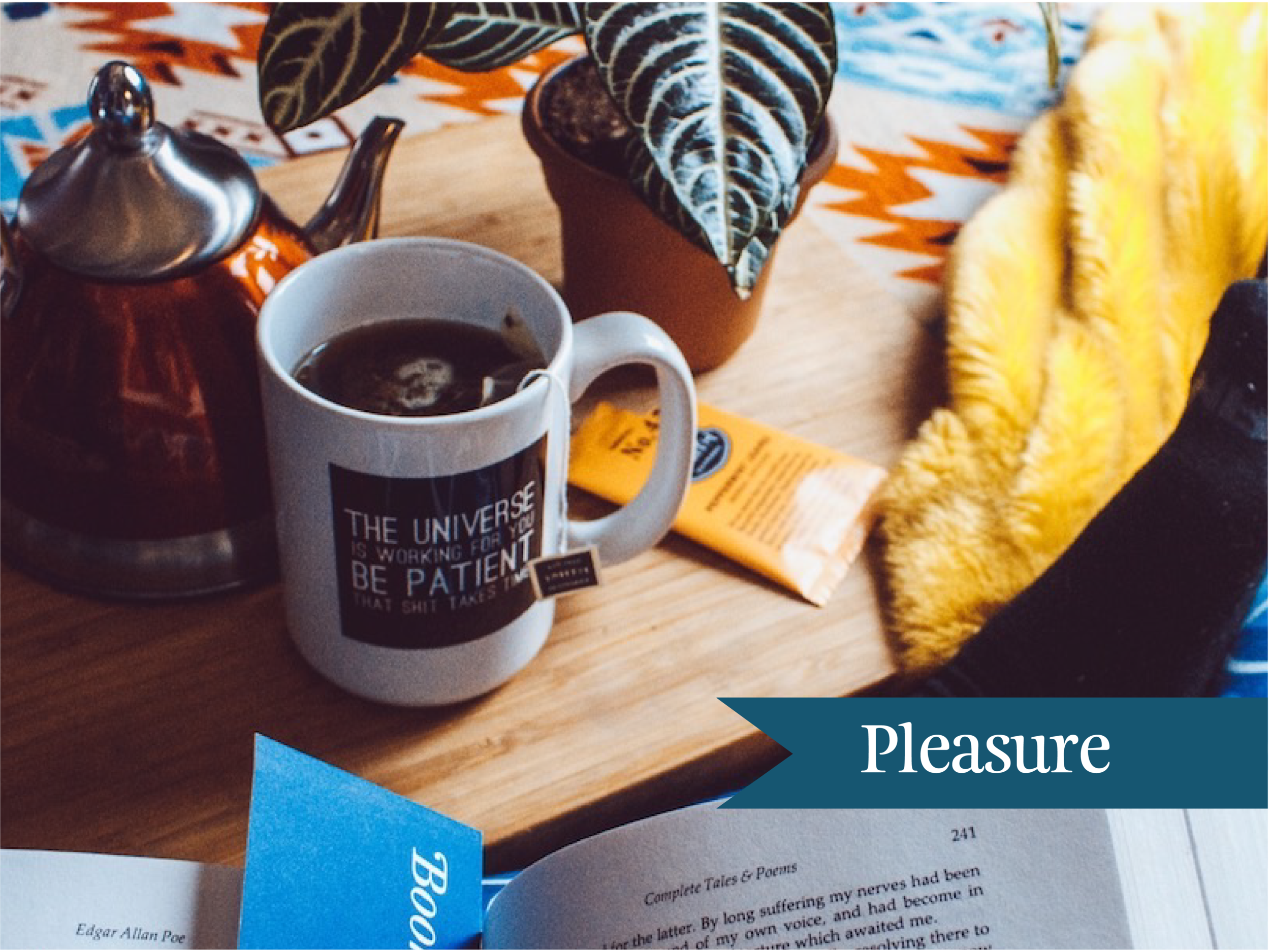 Blog post pleasure.png