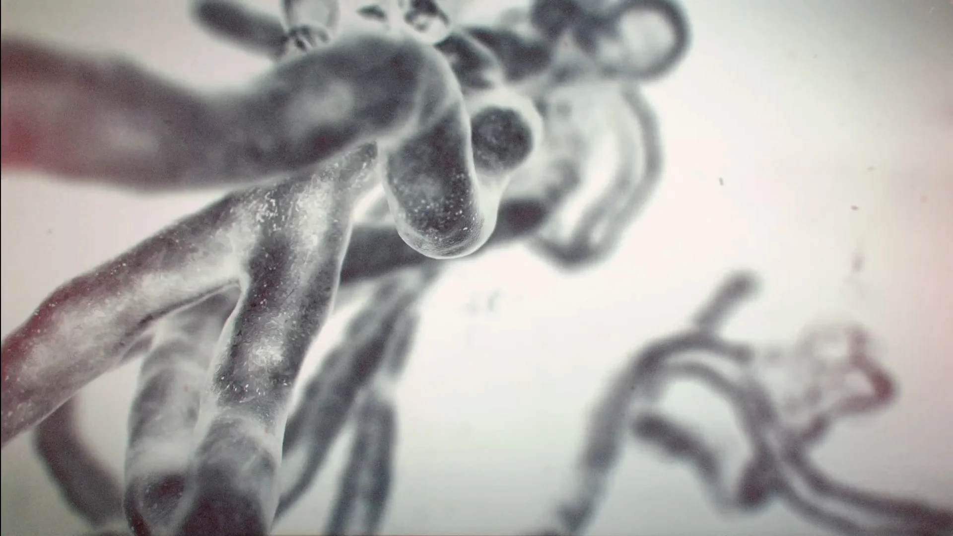 THZ - TITLE TEASER - MASTER_29.97 (0;00;02;14).jpg