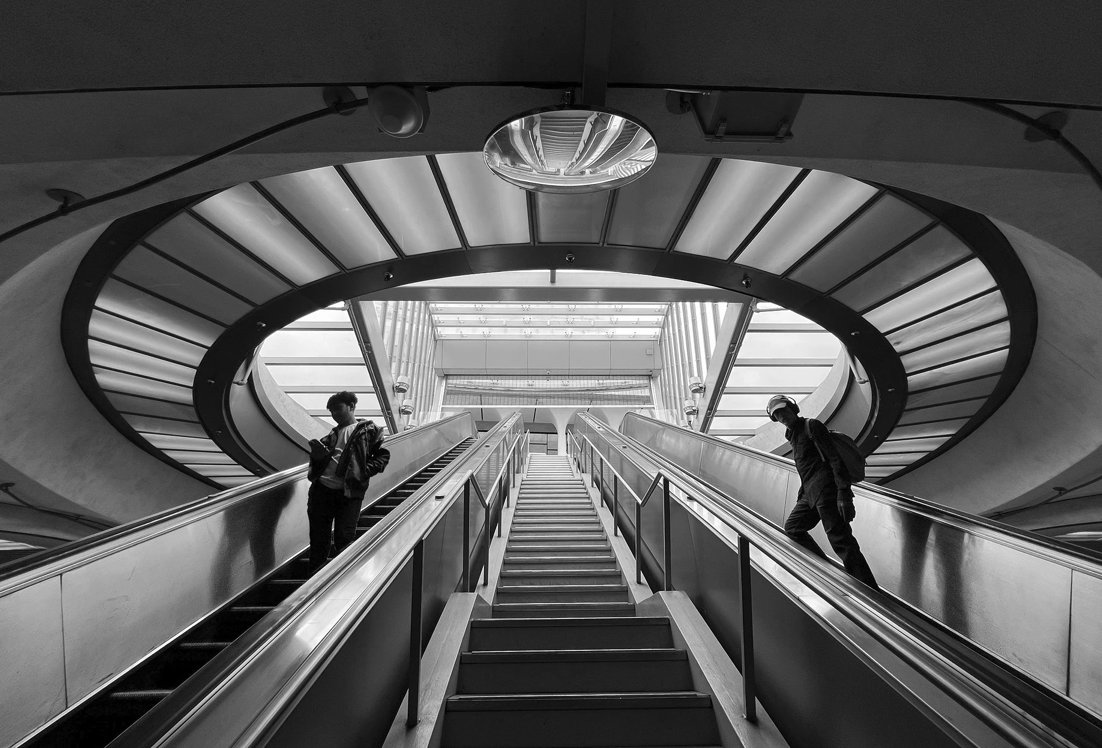 Coming and Going web.jpg