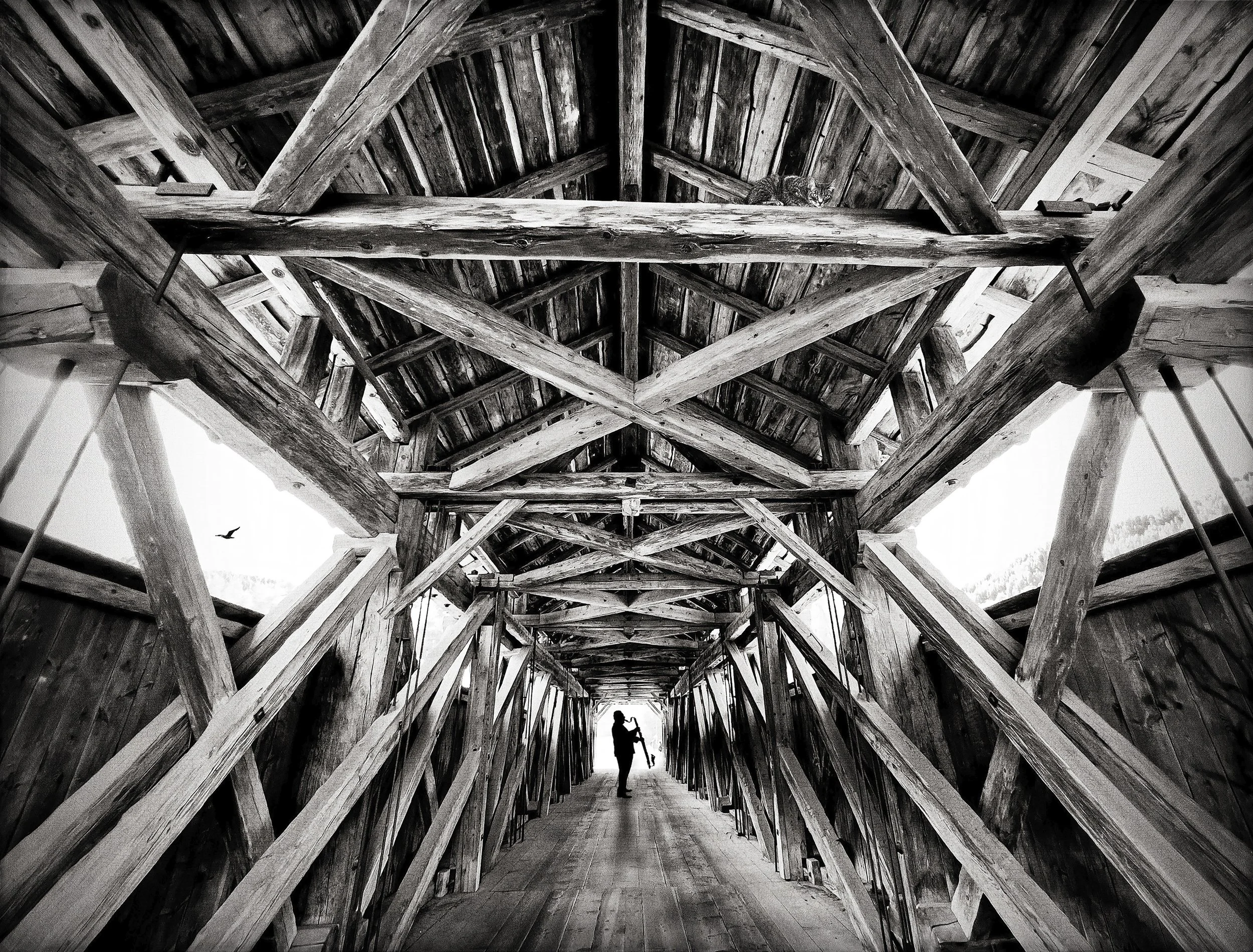 Taking it to the Bridge WEB.jpg