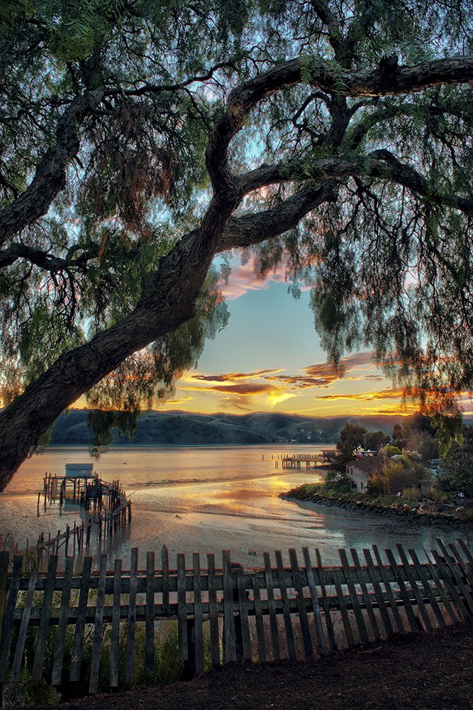 Arneson Dock WEB.jpg