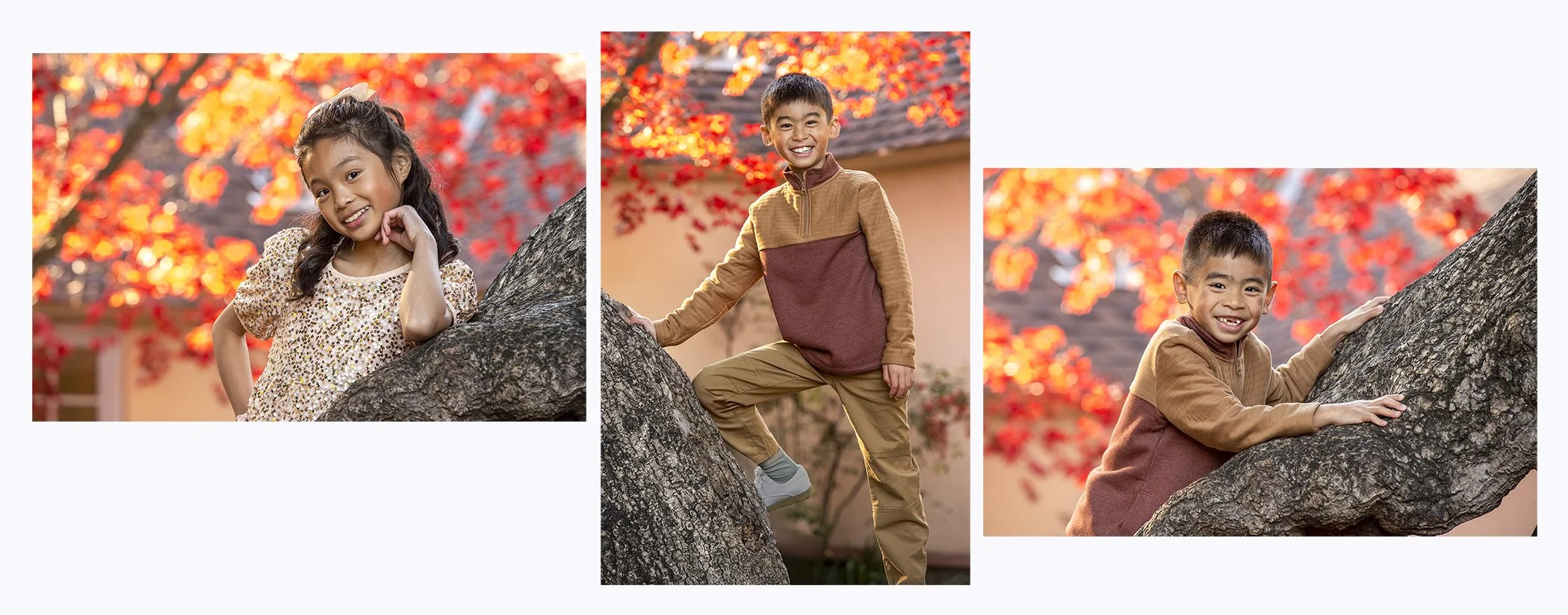 Young Kids Triptic copy.jpg