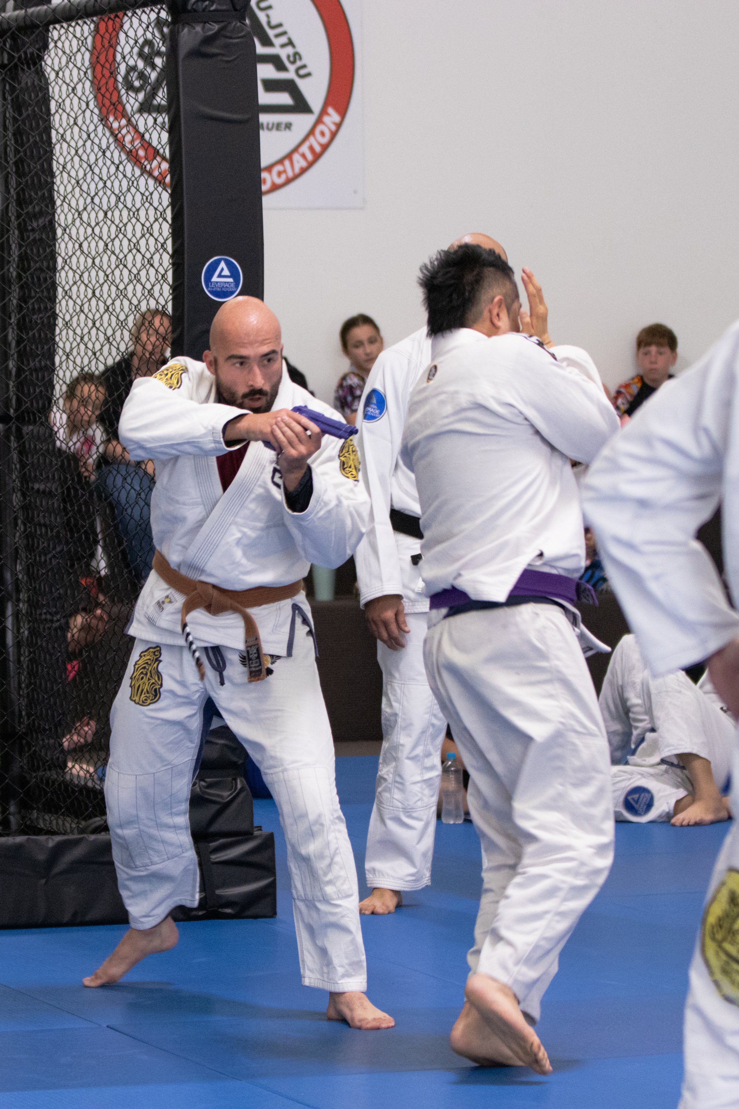 Leverage_Grading_28-02-26-6103.jpg