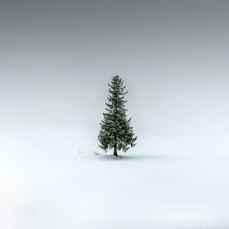 A0330.jpg
