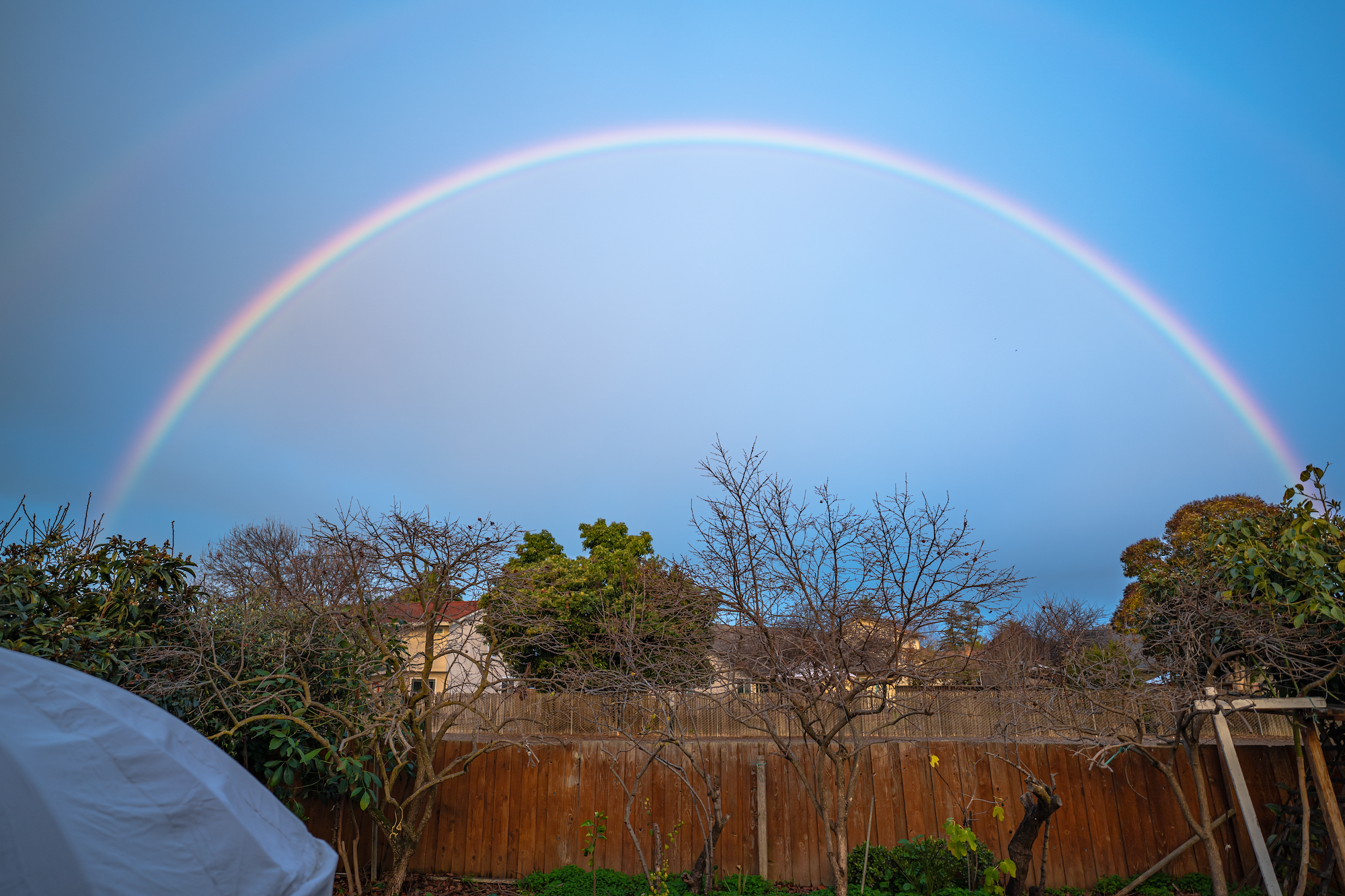 rainbow dome.png