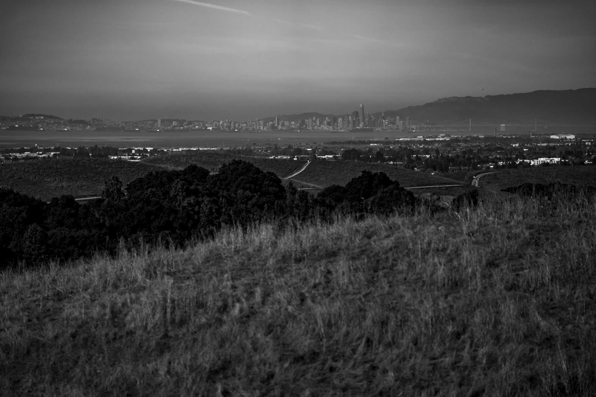 B&W bay big pic.png