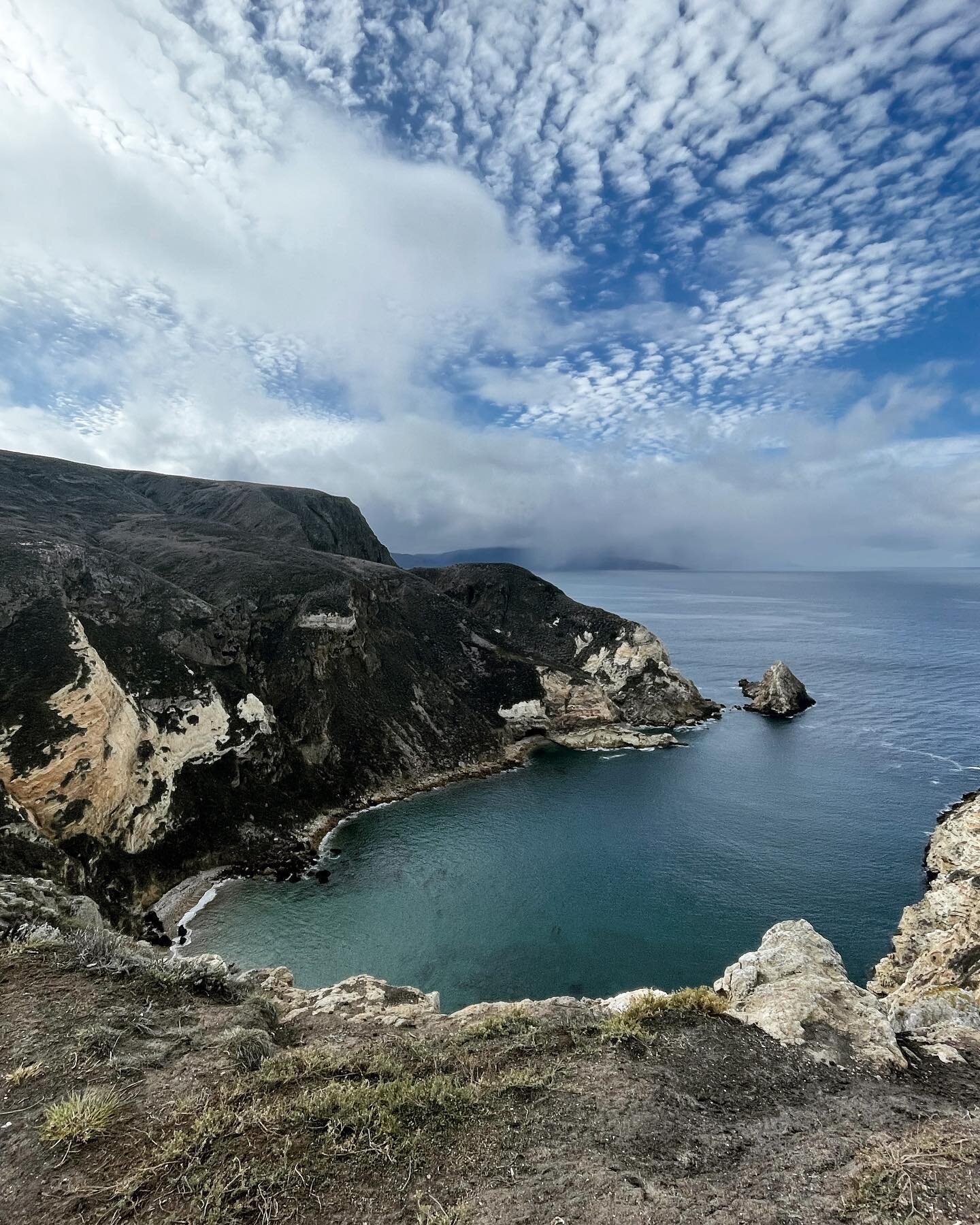 Hiking the Channel Islands was breathtaking and grounding ☮️ The smell of the rainbow eucalyptus trees fill the air. The sound of the waves crashing into the mountains above. The island foxes running at your feet and the feeling of being immersed in 