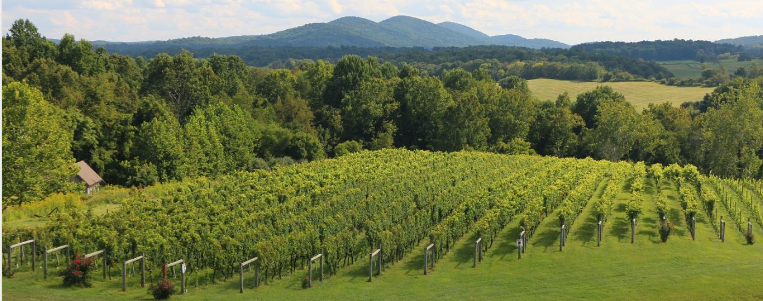 VIRGINIA WINE DINNER -  featuring the wines of Dave Matthews' Blenheim Vineyards                             Sommelier, Joe Bello of Bello Vino Beautiful Wines &amp; Spirits