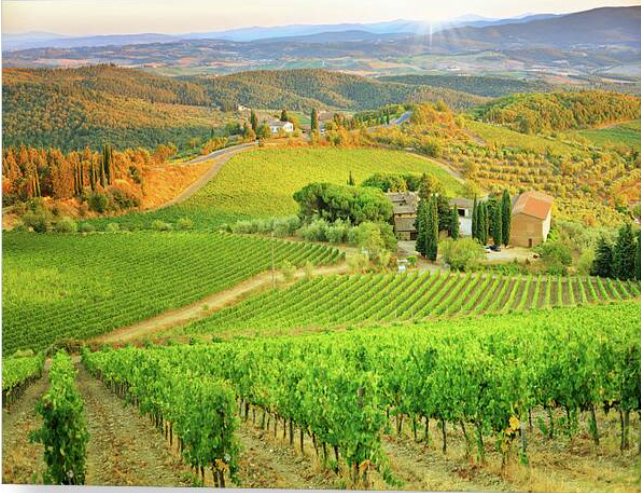 ITALIAN WINE DINNER                                                                With:  Sommelier, Joe Bello of Bello Vino Beautiful Wines &amp; Spirits