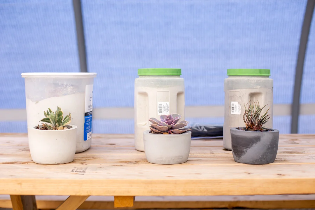 At the cement pot workshop, there are three stain colors to choose from.