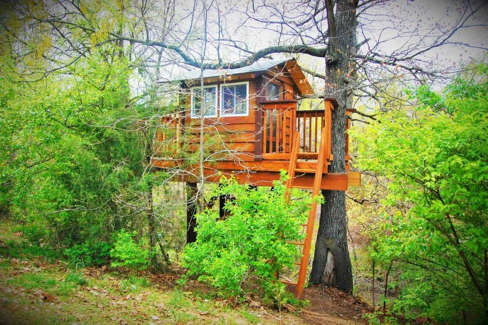 Dogwood Canyon Treehouse