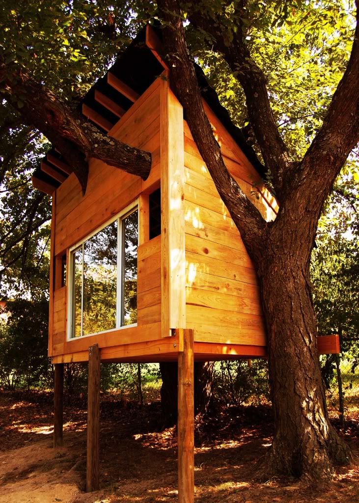 Writer's Retreat Treehouse