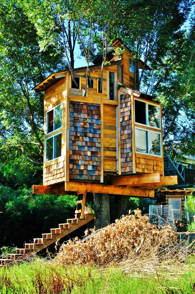 Salvaged Treehouse