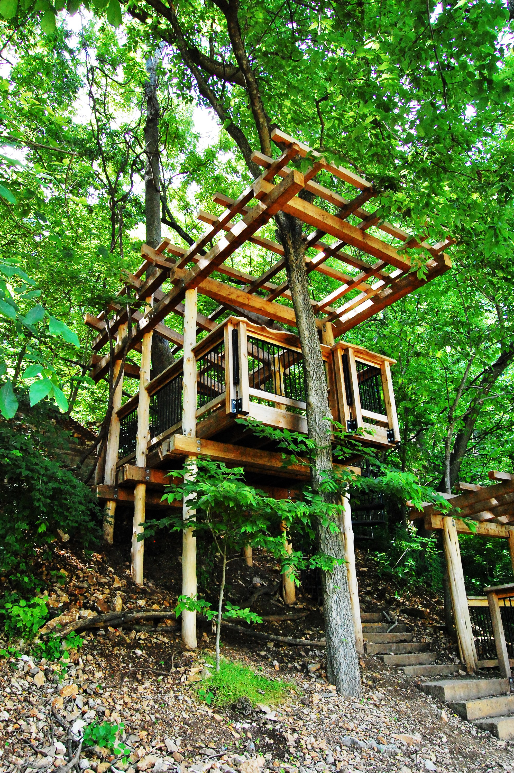 Lake Atalanta Treehouses