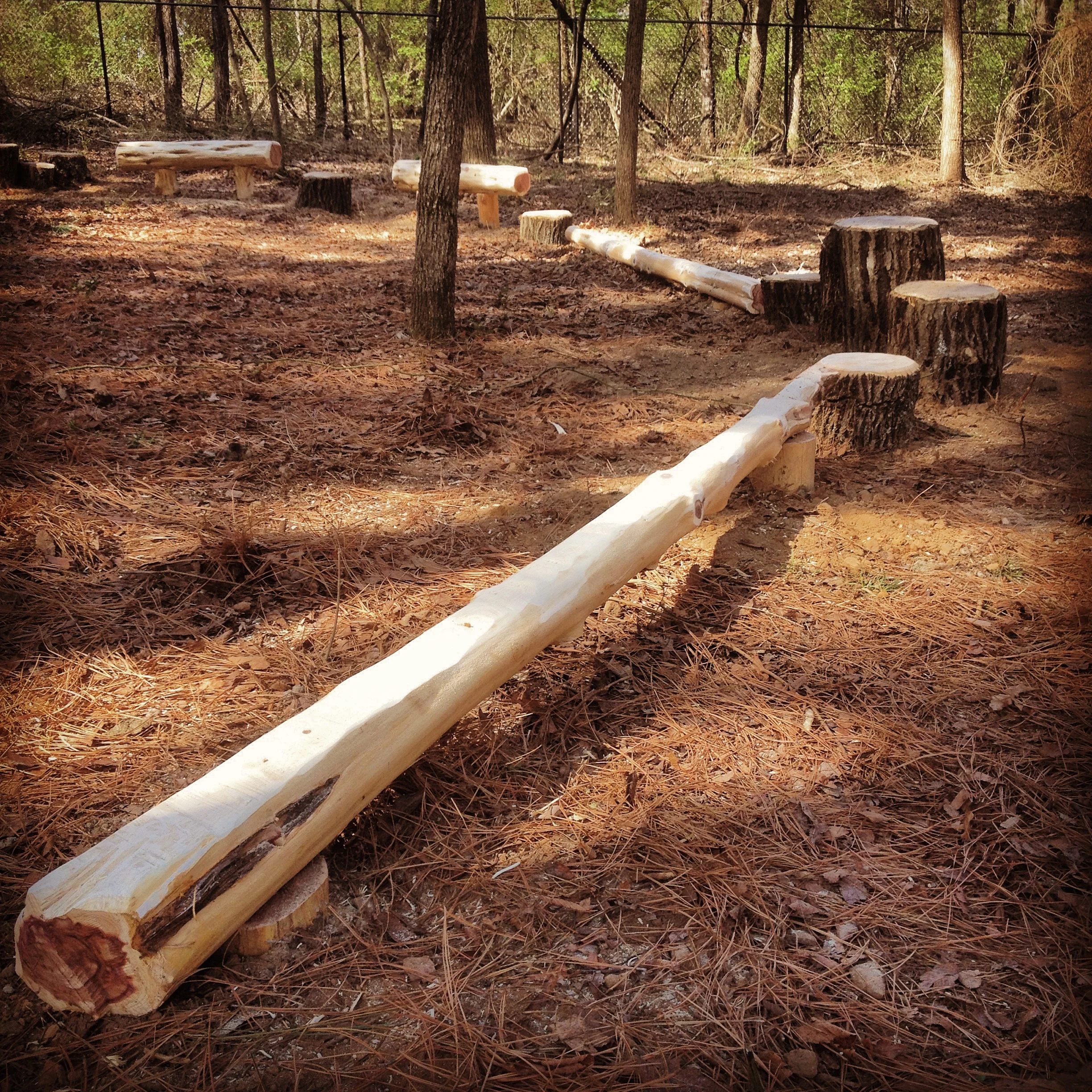 Natural Backyard Playground