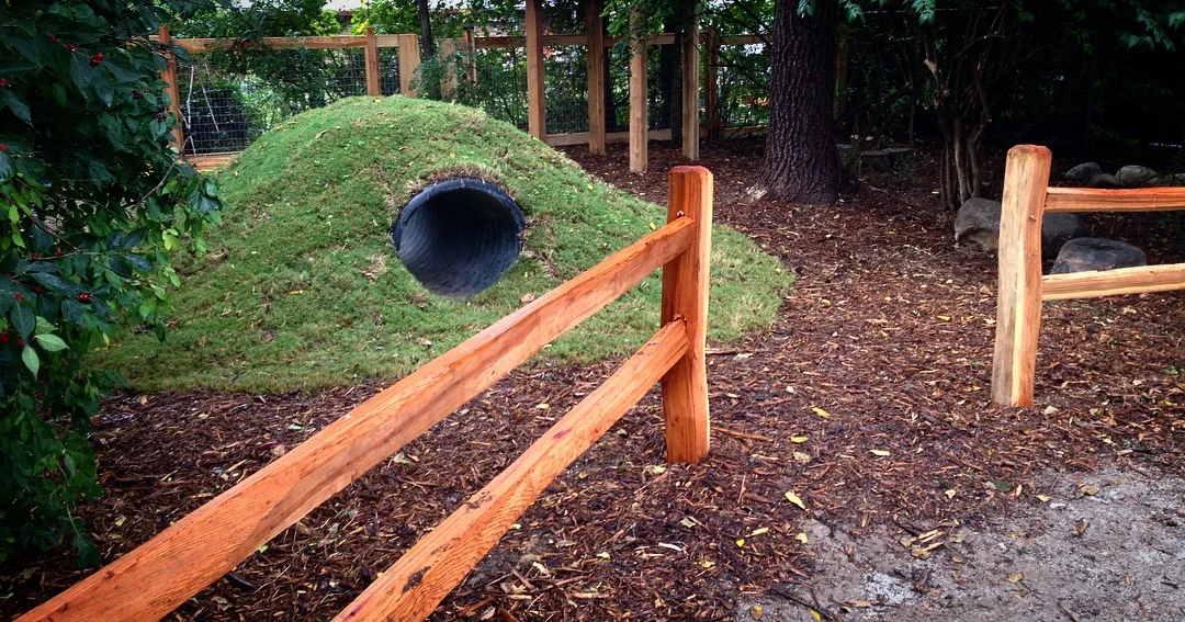 Ann Brown Memorial School Natural Playground