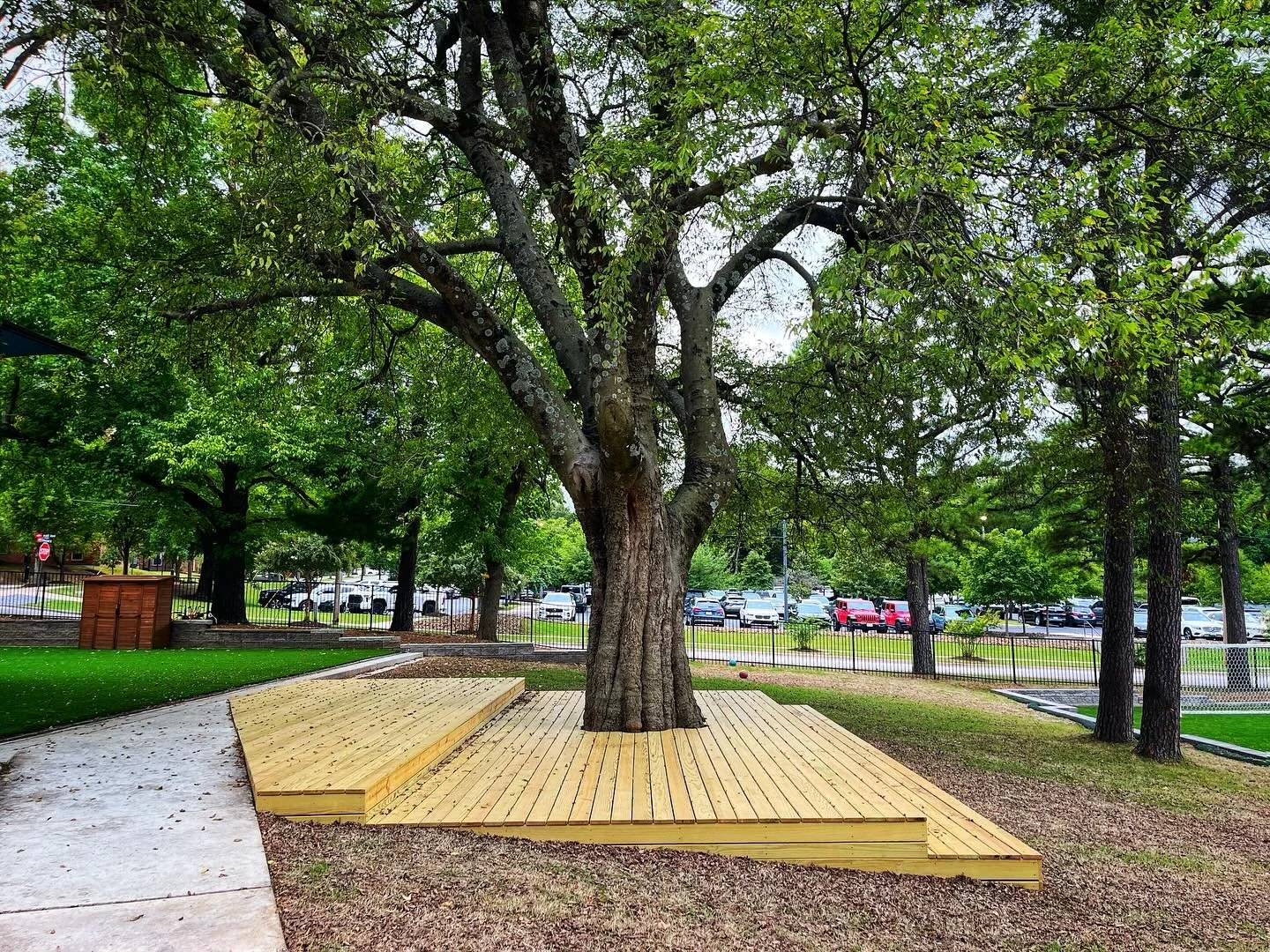 New play decks at Leverett Elementary!  These were some of the most incredible Hackberry trees we&rsquo;ve ever seen, and we were happy to have a chance to share them with the kids using a low-impact construction method with virtually no impact on th