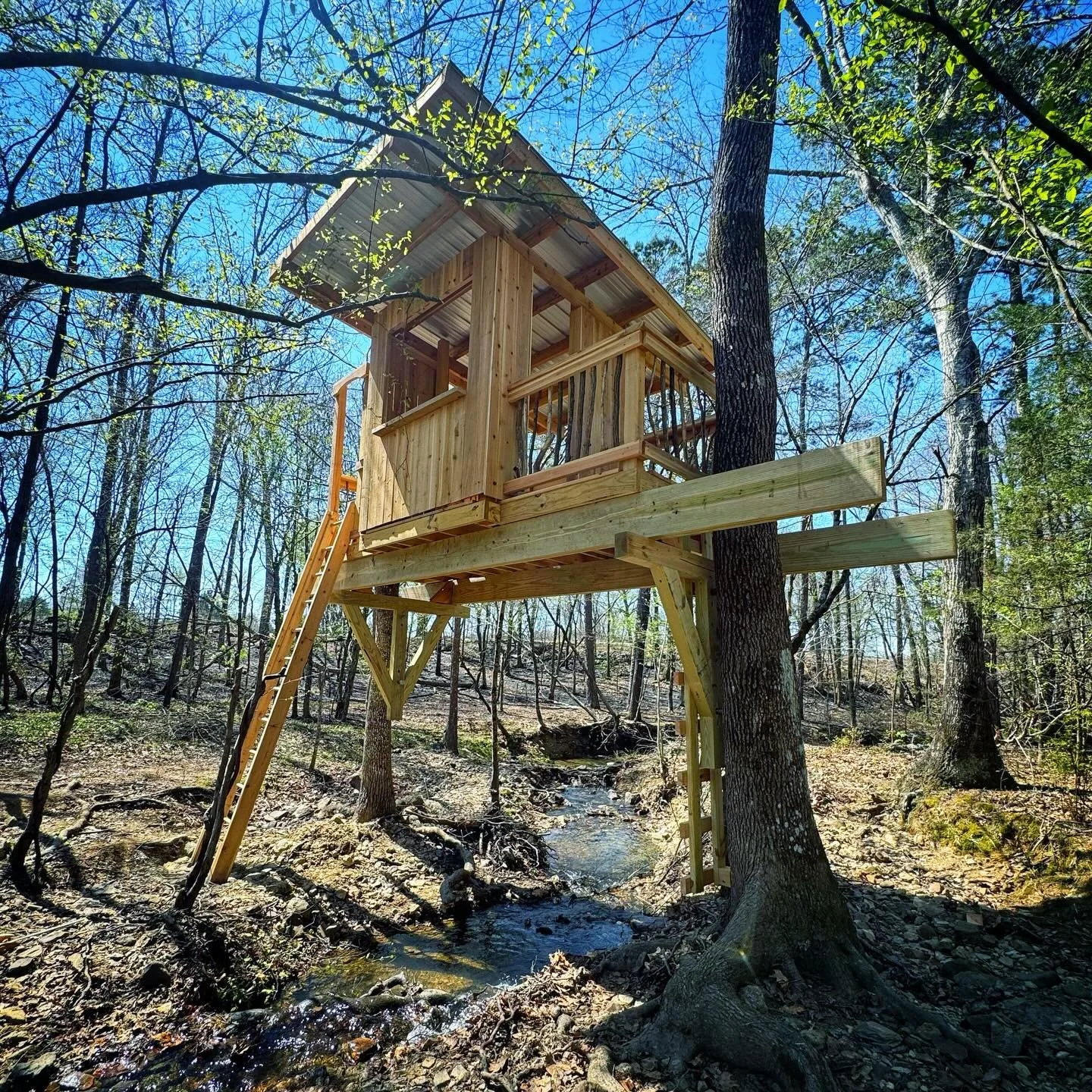 Treehouse over a creek!  With a window in the floor and a secret trap door.  Tucked in a little slice of wilderness outside of Little Rock.  Great job to @dickdarden and the team and thanks to the family for hosting us in this beautiful spot
.
#treeh