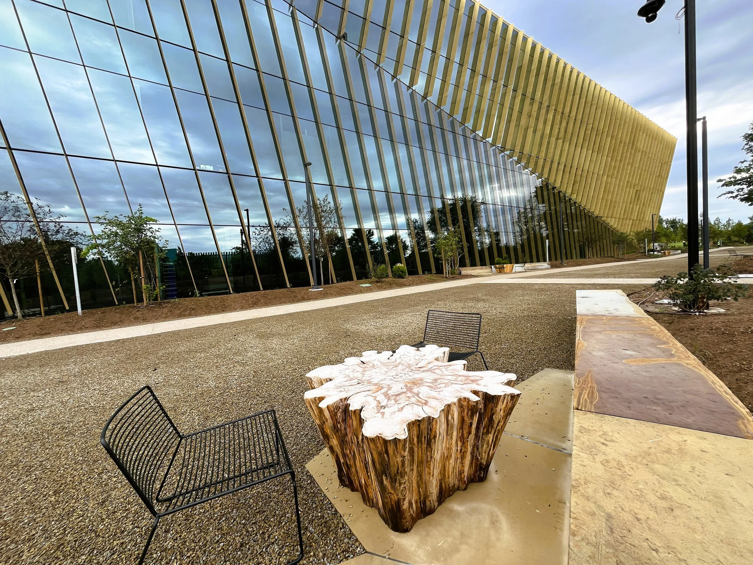 AWSOM (Alice Walton School of Medicine) Natural Log Furnishings