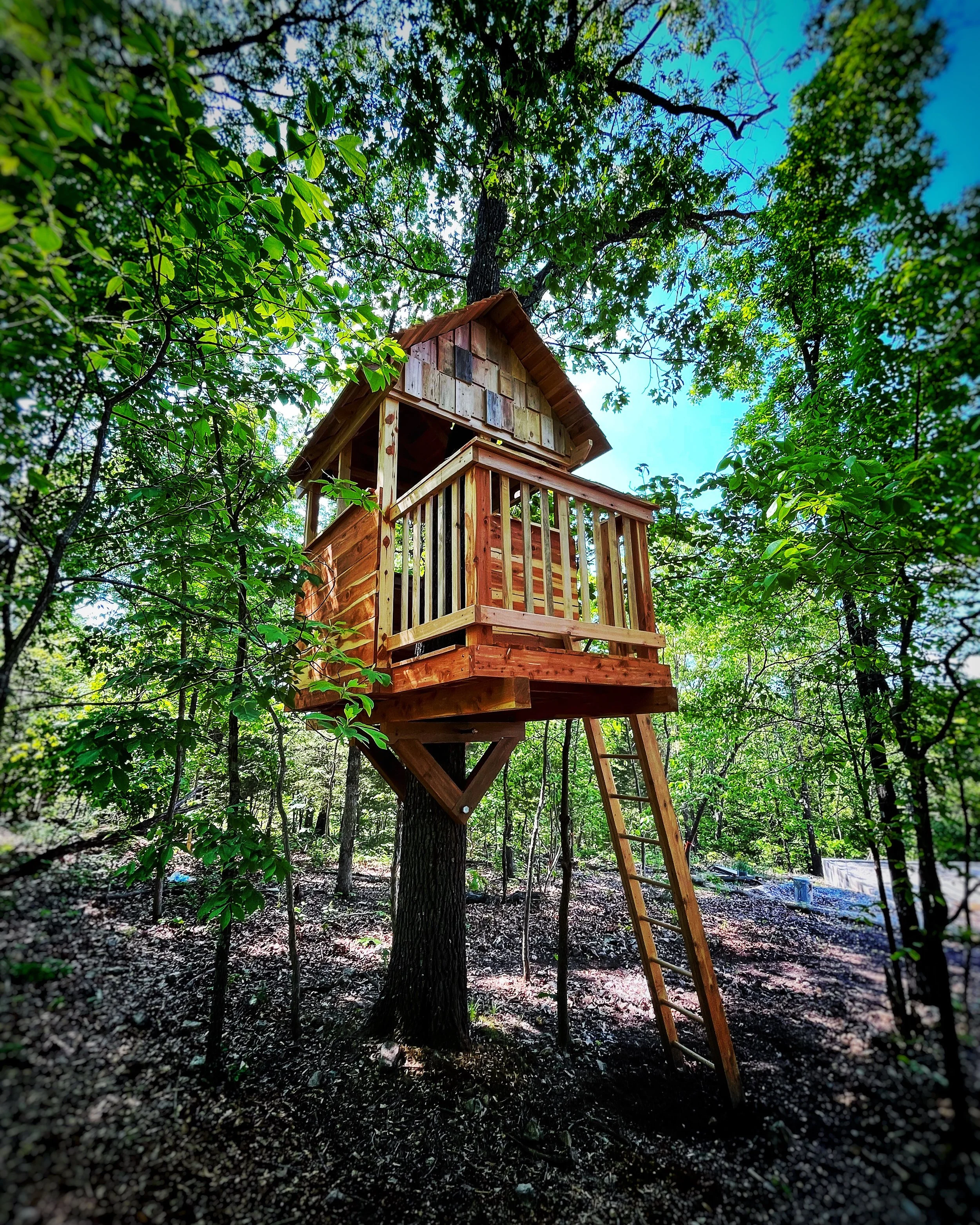 Tiny Treehouse - Bella Vista, Arkansas