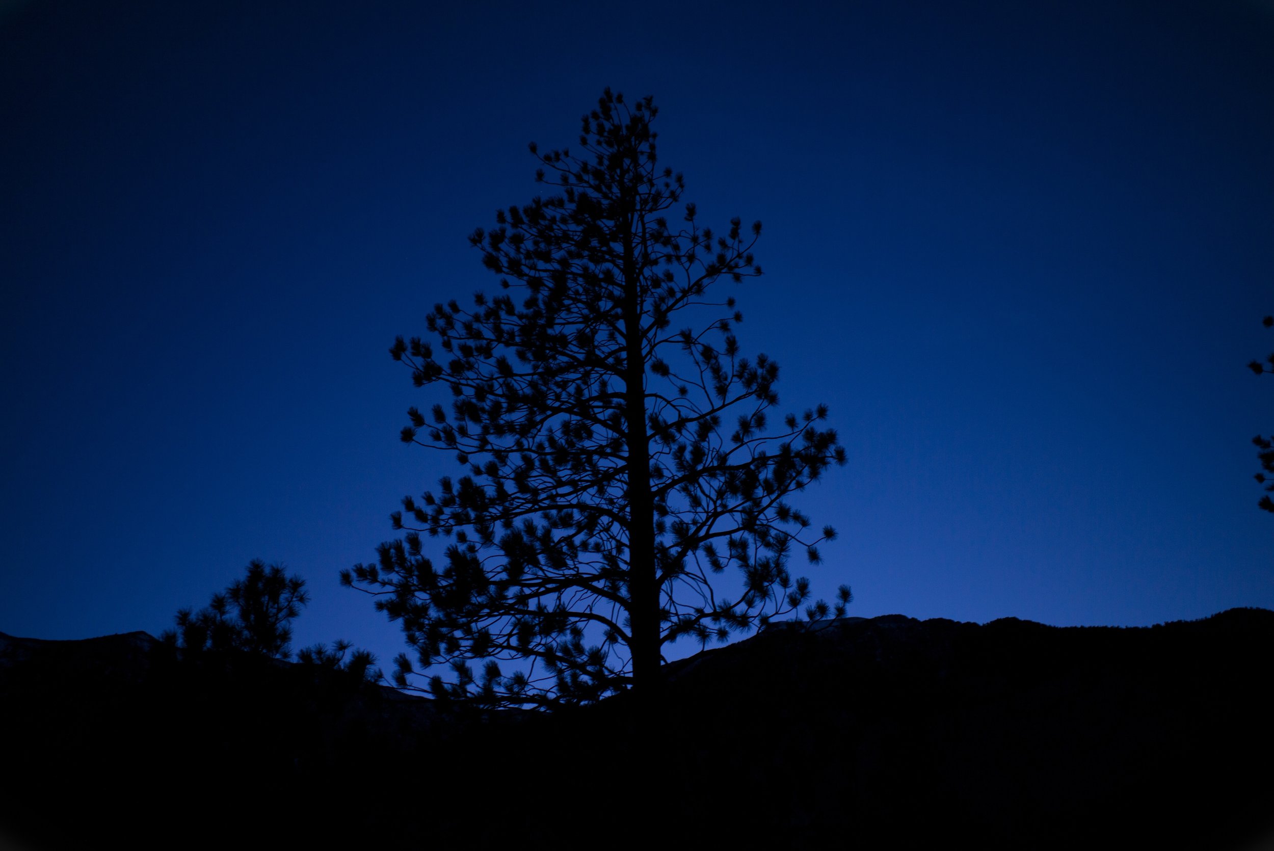 12DD822C-F308-4735-816D-817961705346.jpeg