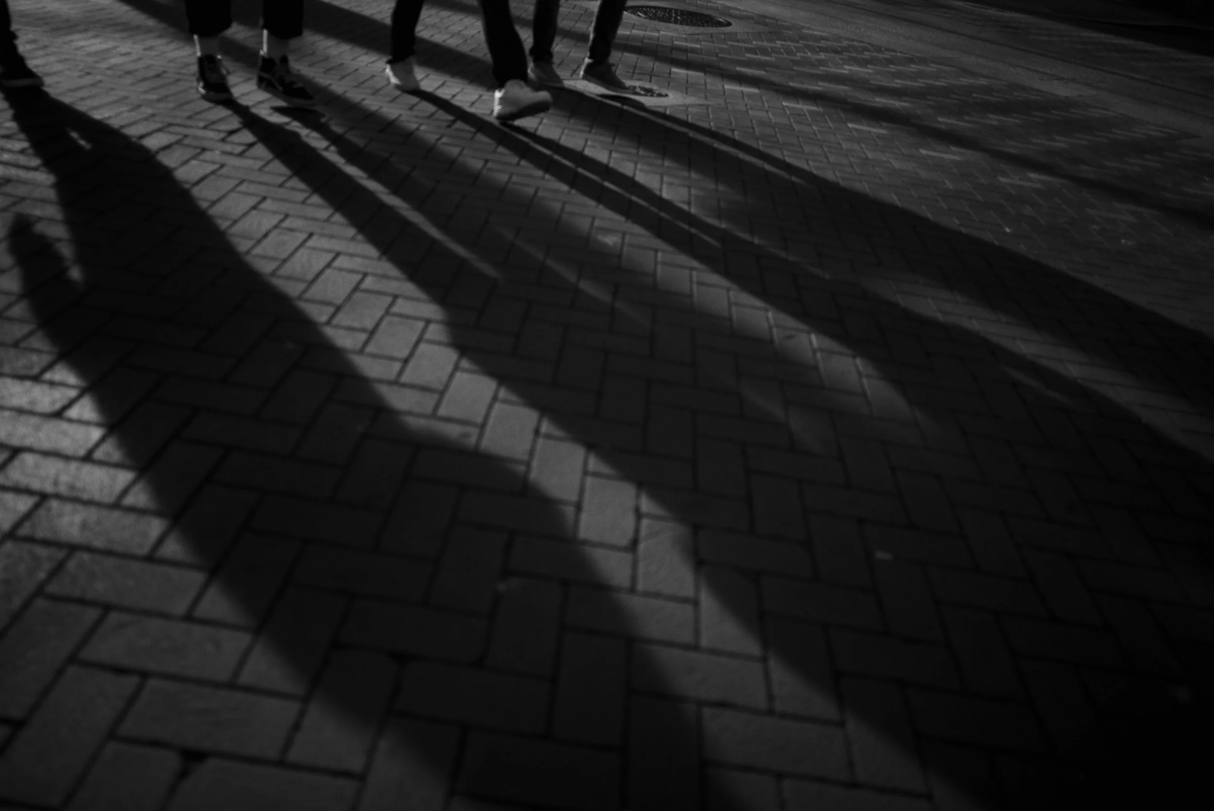 CDA489FD-6665-404E-B237-E367D5EC56B1.JPG