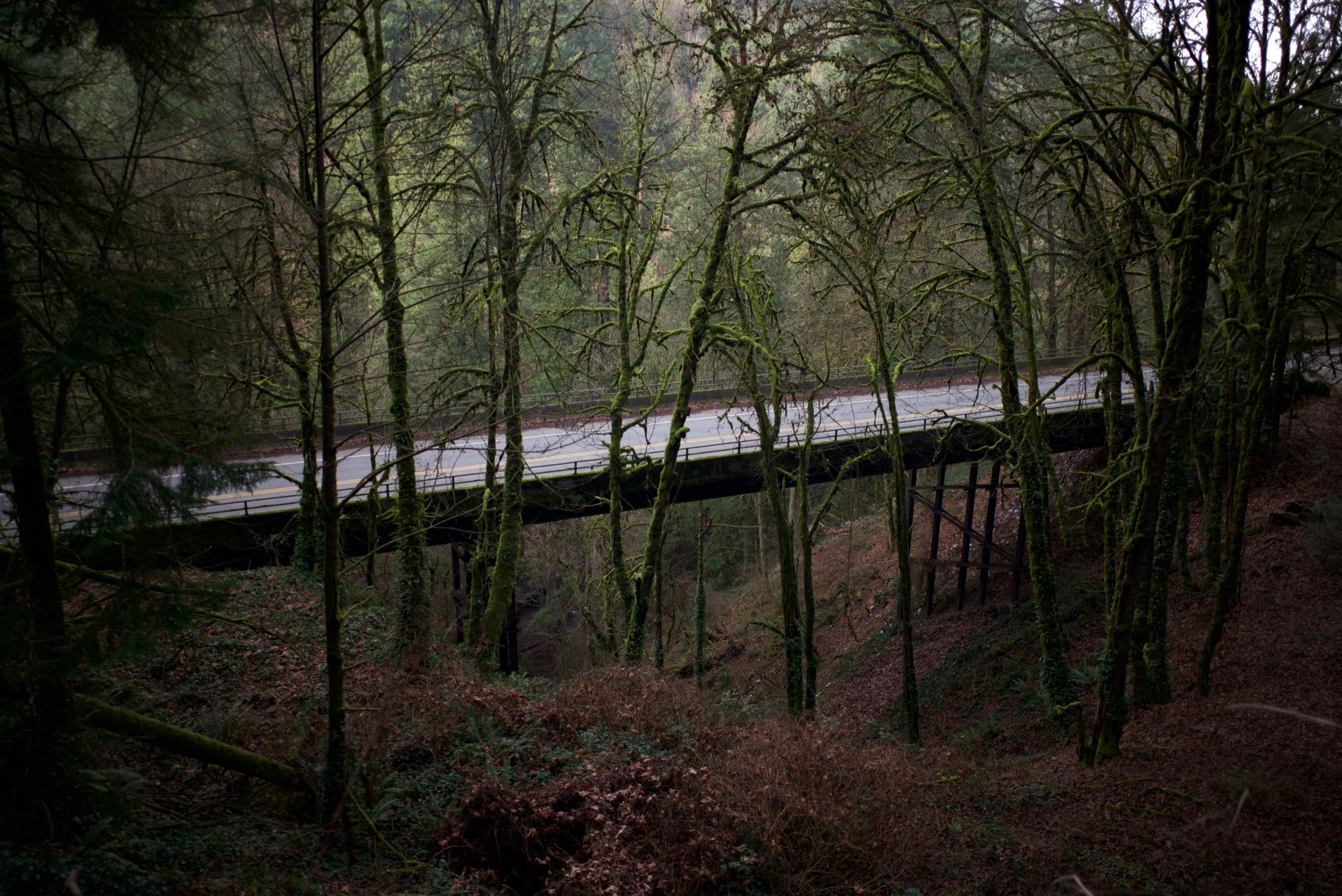 47B541EF-17D7-467F-A2BB-22EDC12487B2.jpeg