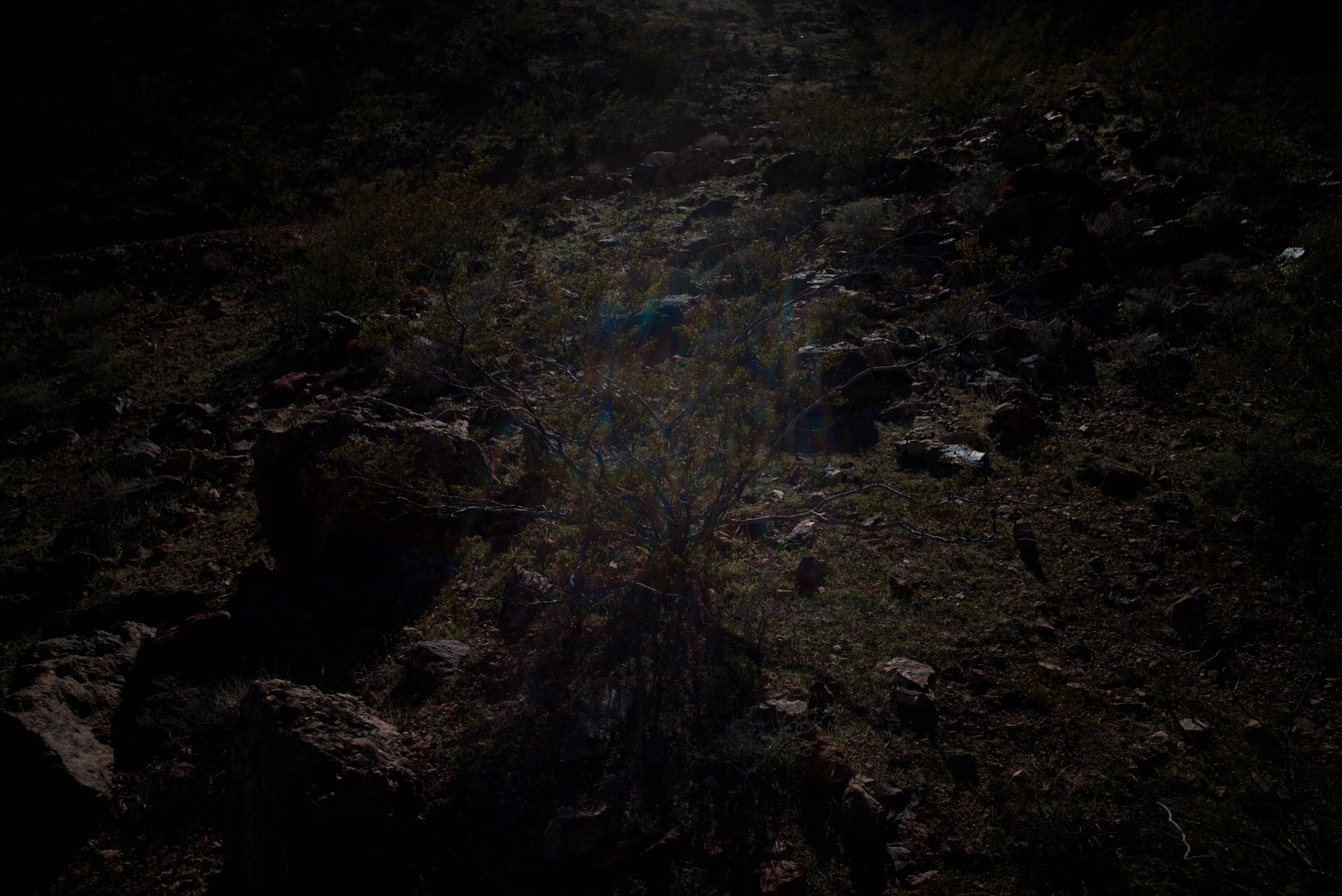 0CF41FF7-5E5E-4161-A7C2-F0D24F0DC439.jpeg