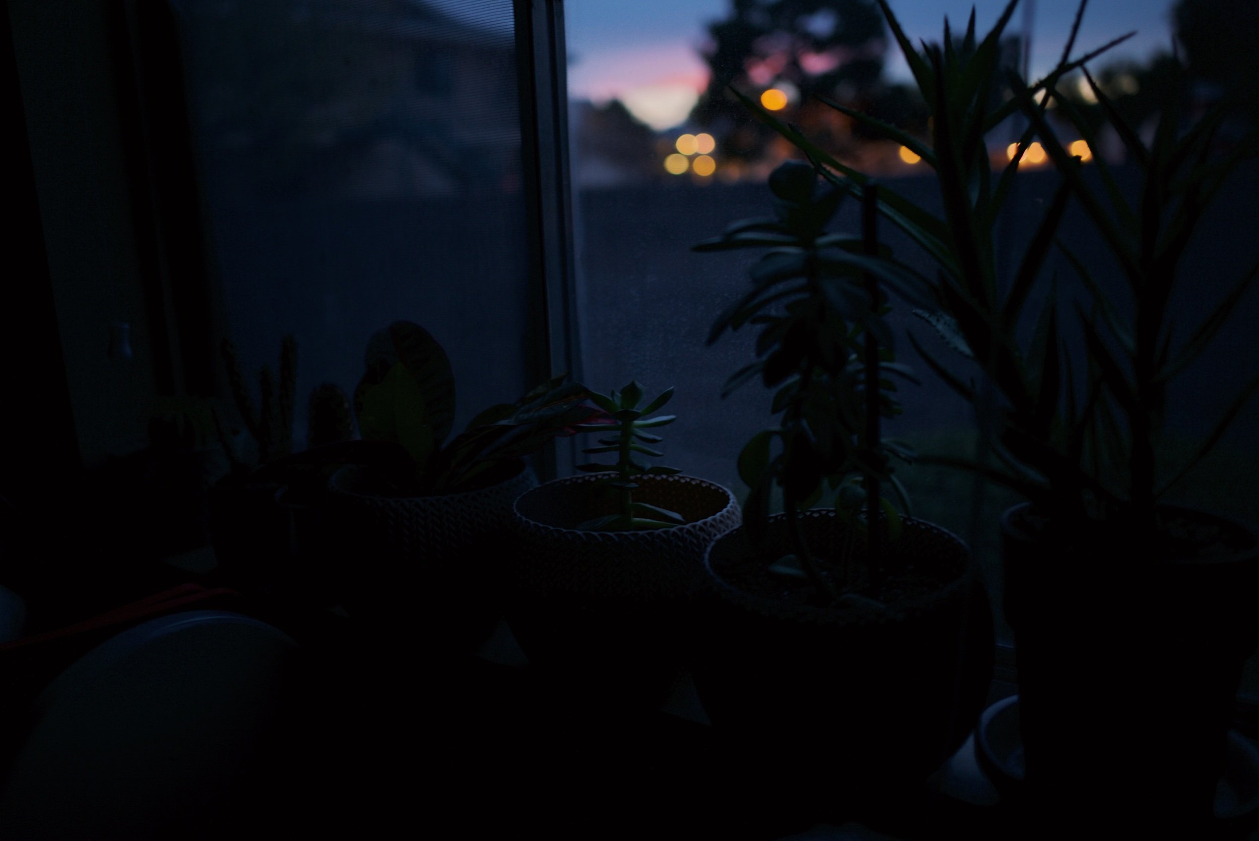 45F8BA1B-D246-4801-B8ED-52E3B9BF6B07.jpeg