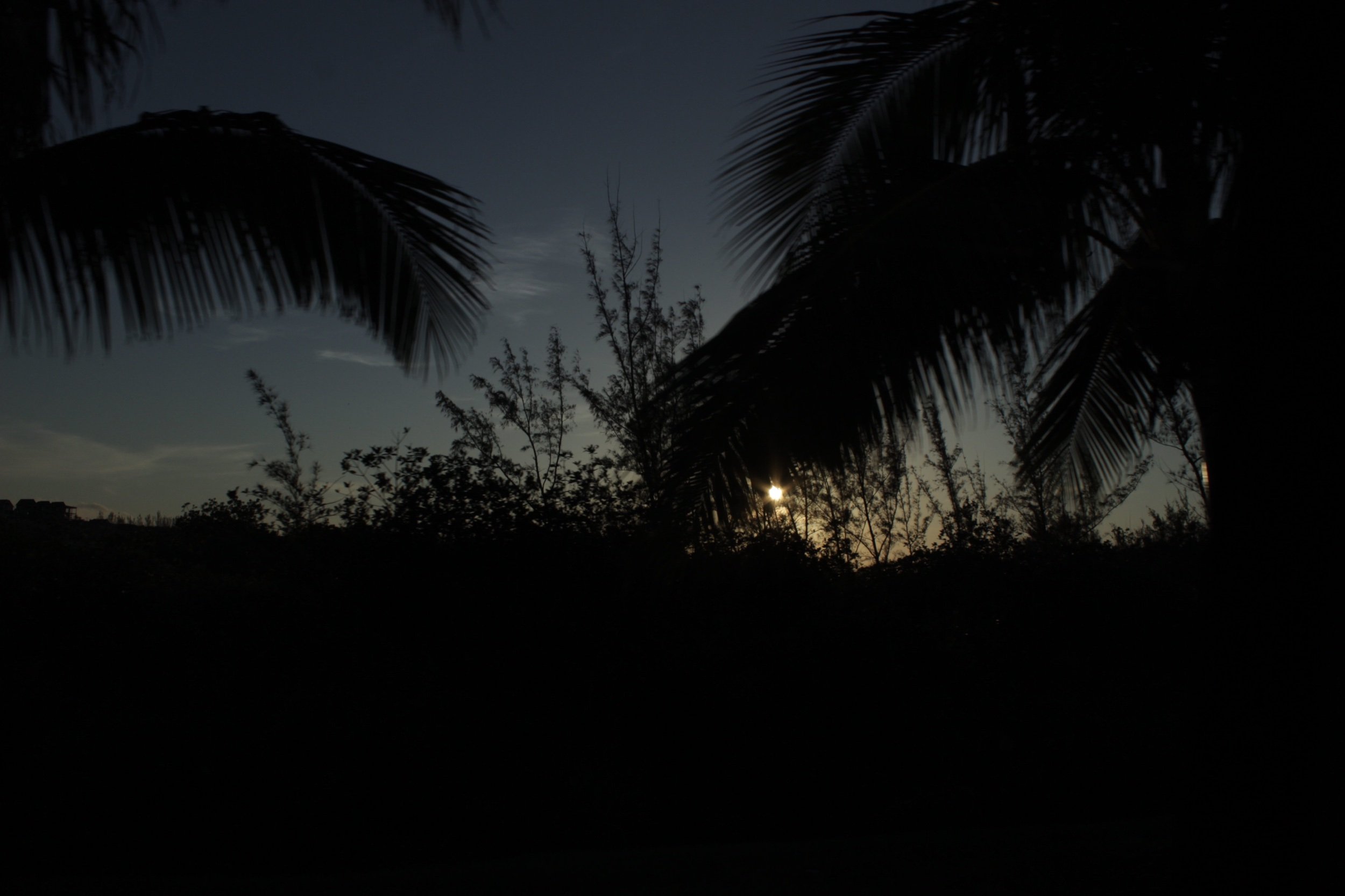 IMG_0078.jpeg