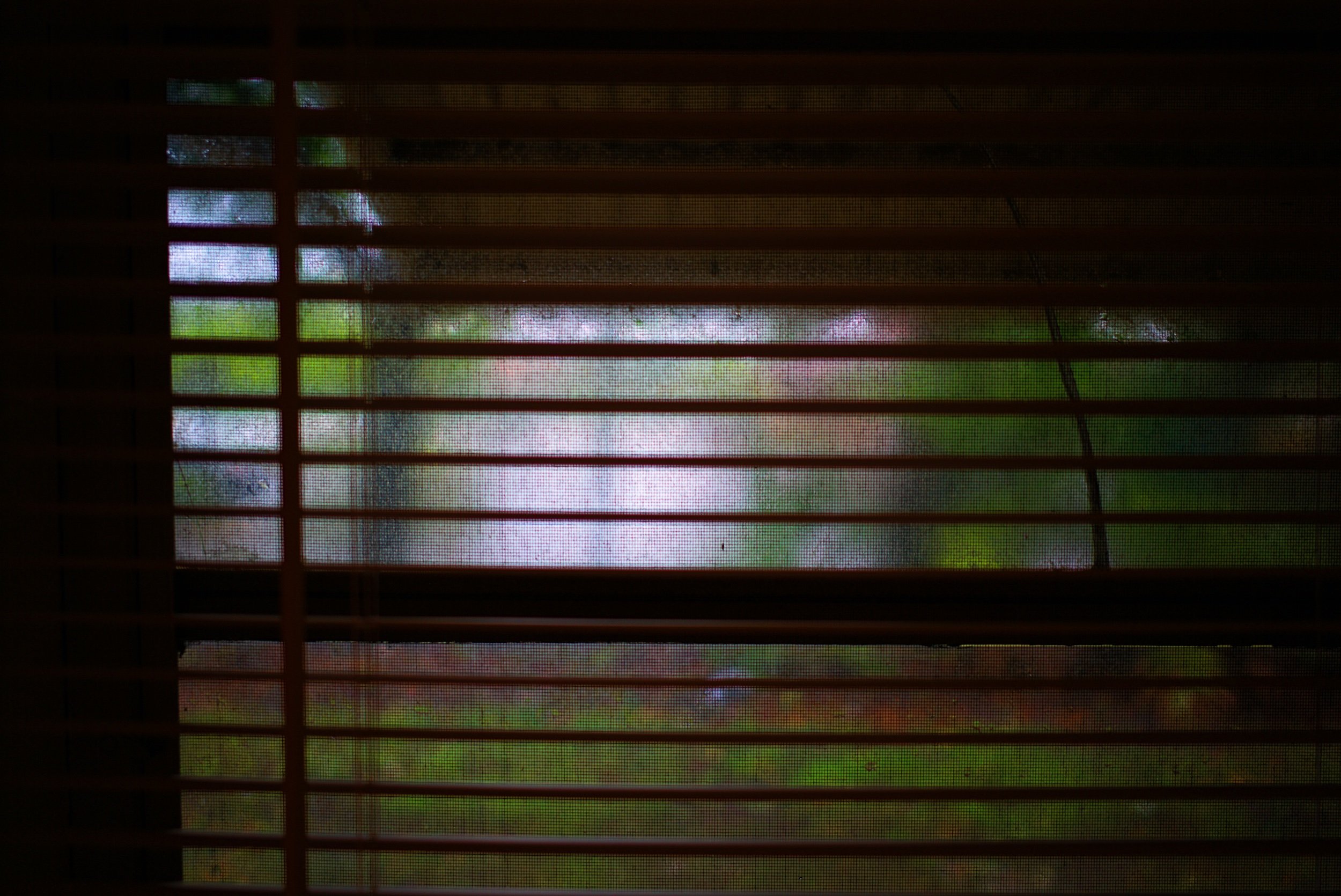 898CDEAF-84D2-4EEE-9212-C273D1211204.jpeg