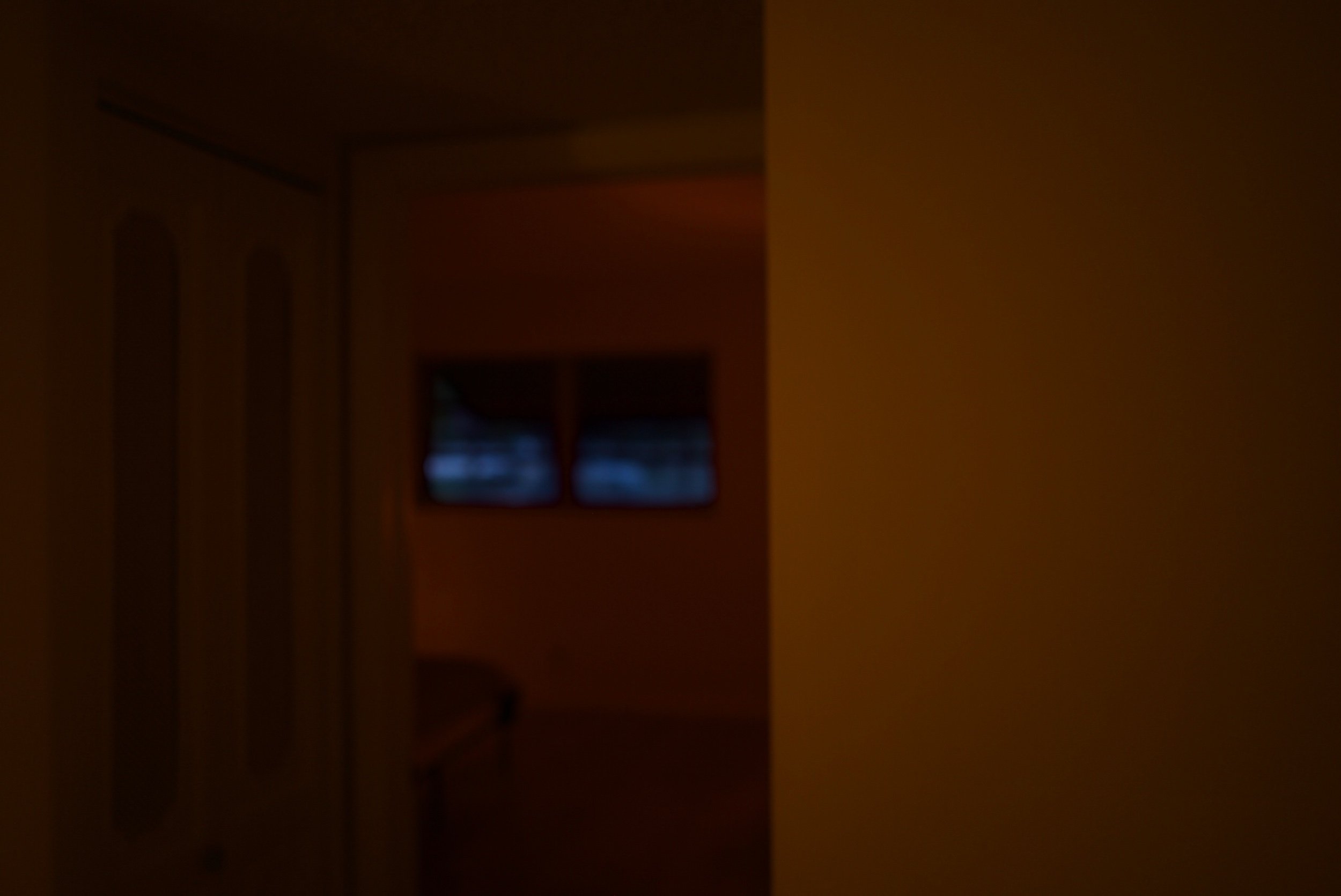 L1004741.jpeg