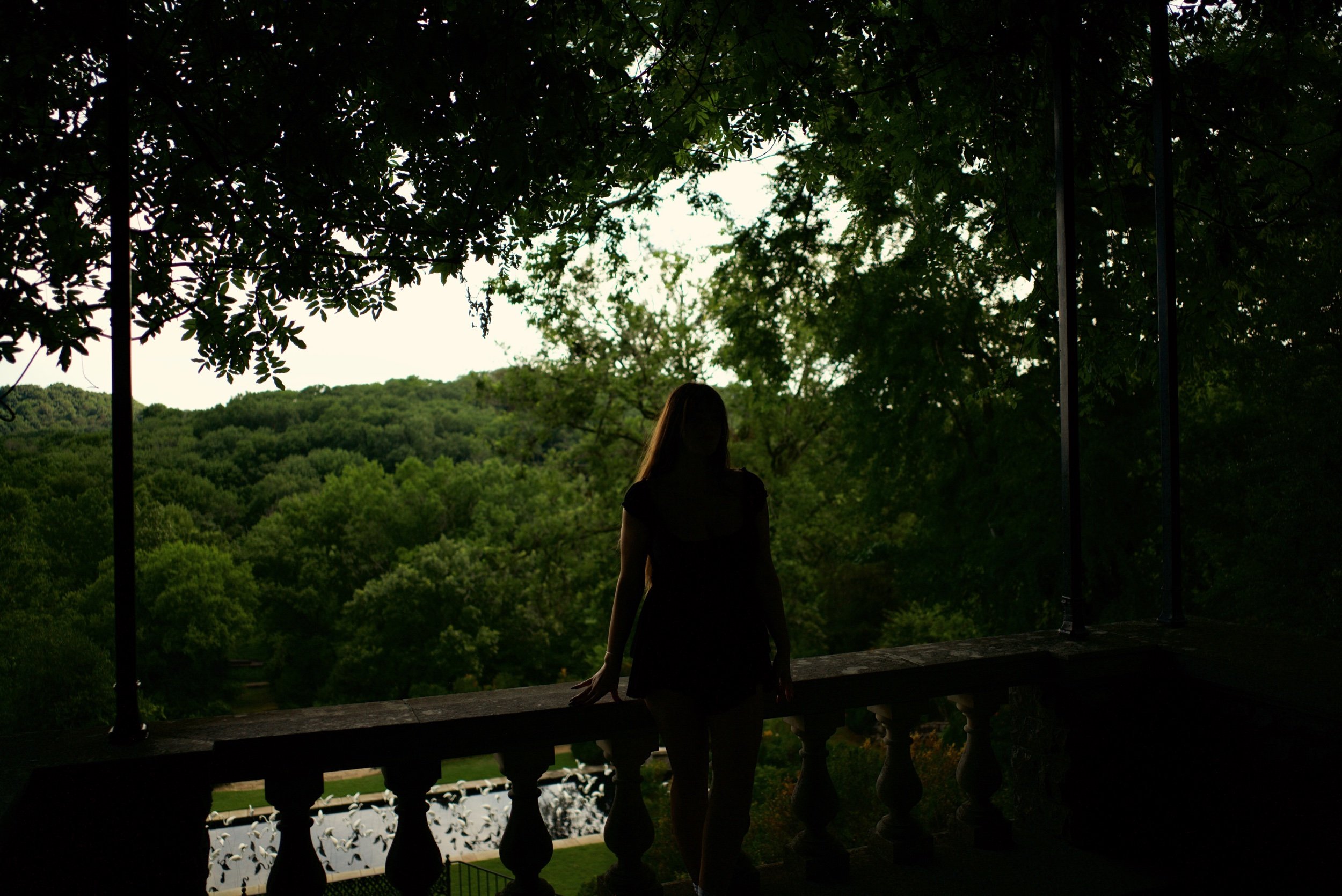 764A12EE-FC33-4330-8DA9-D08CF3081229.jpeg