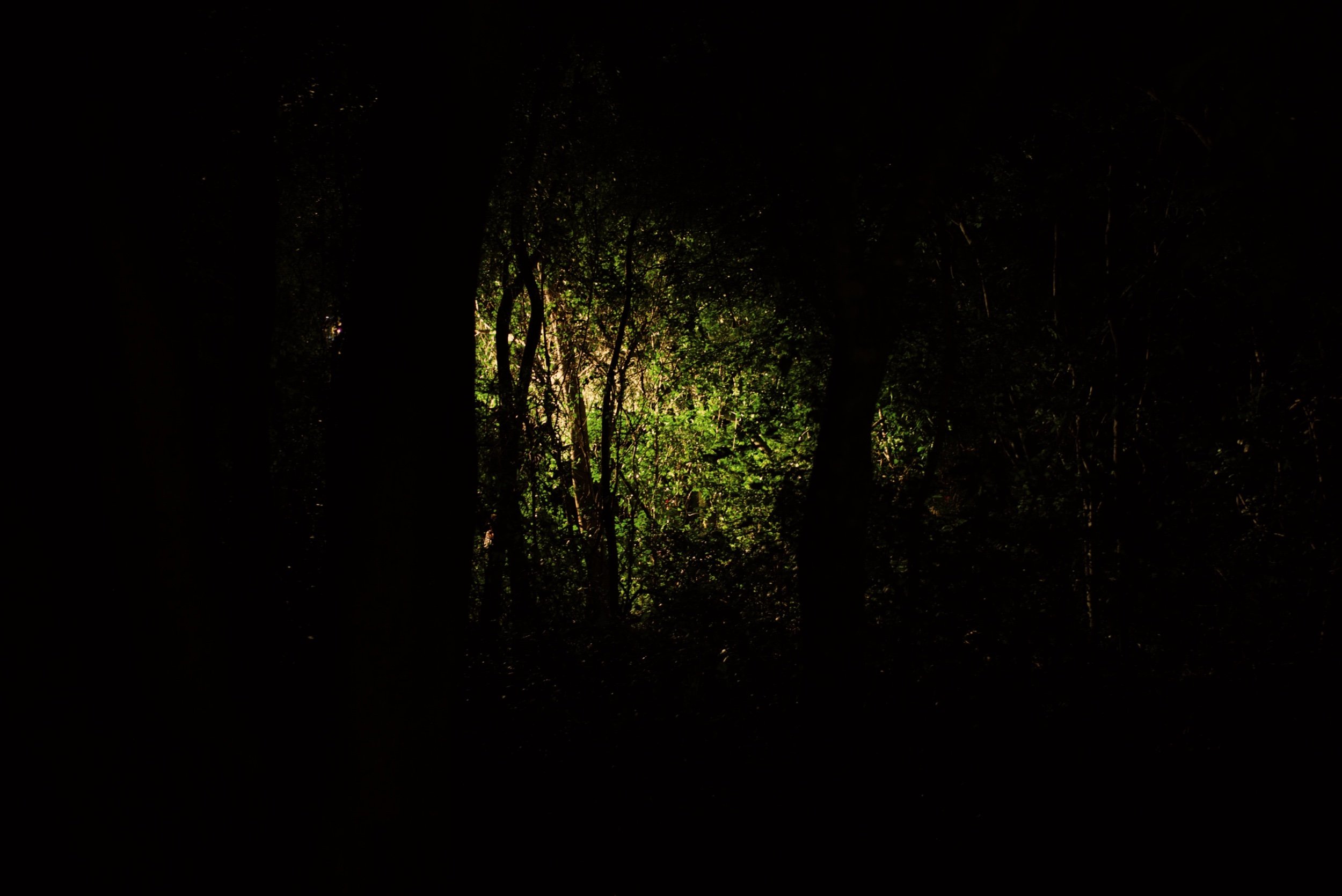 17F2BA04-5079-4C41-B33B-A984C83B34D1.jpeg