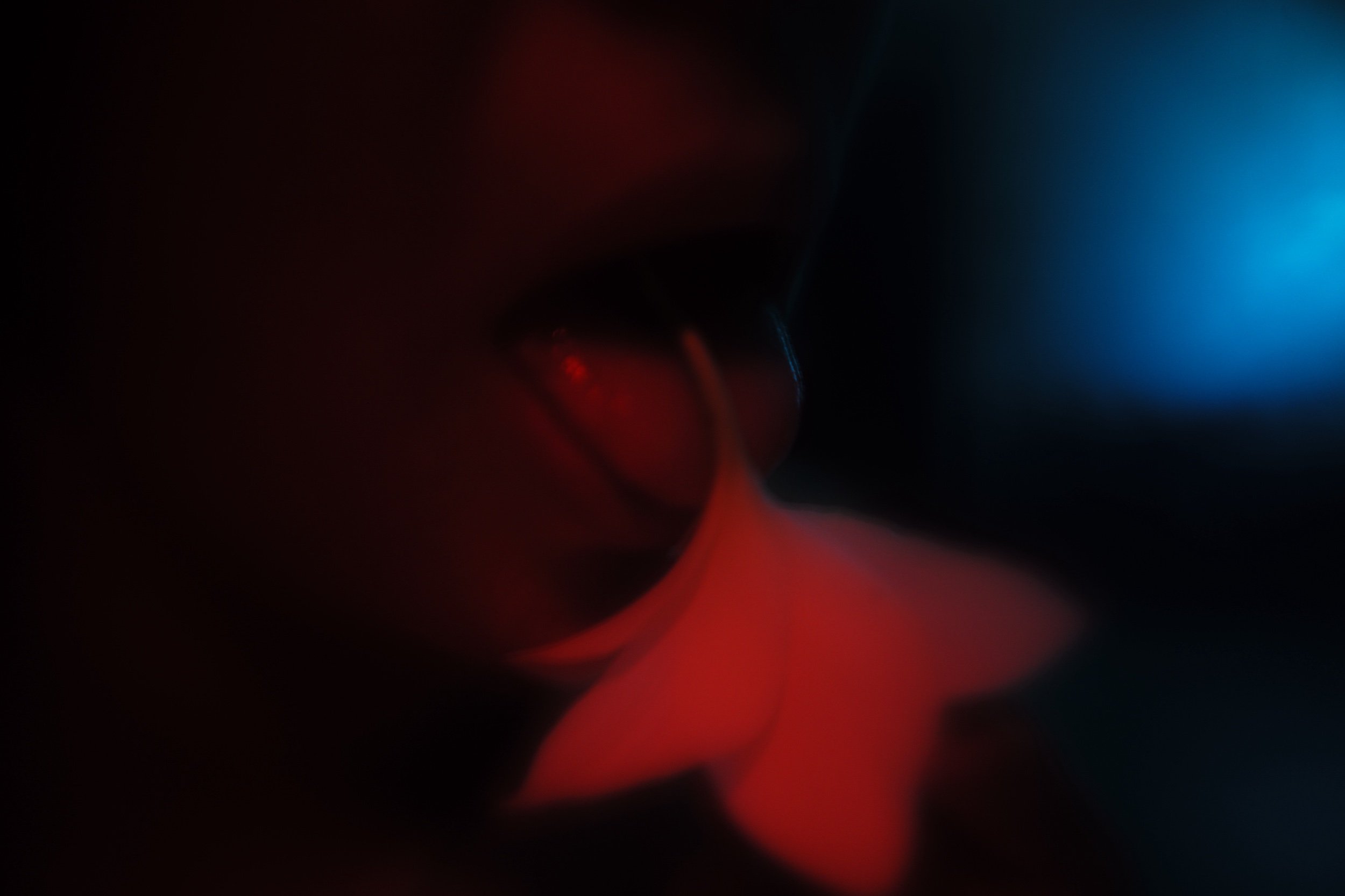 L1000714.jpeg