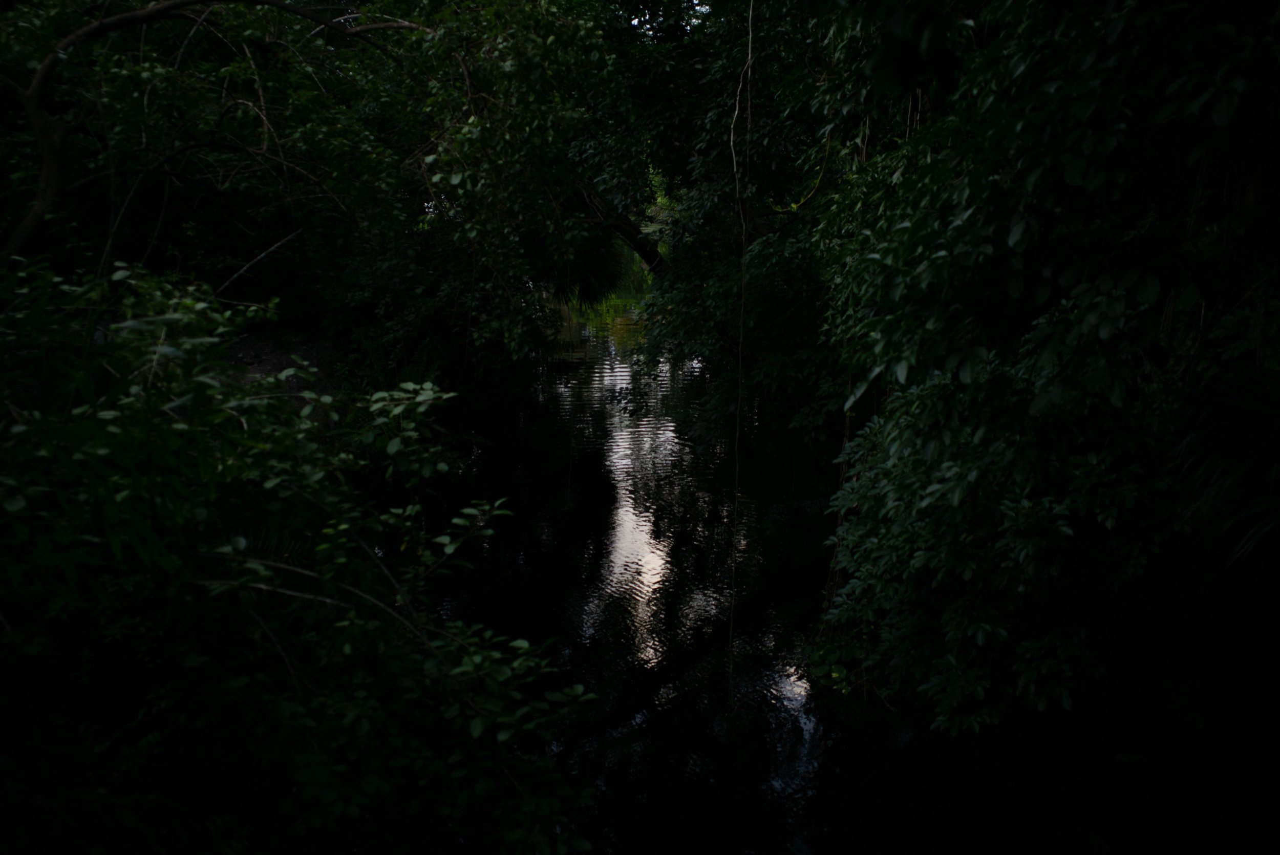 L1000869_1.jpeg