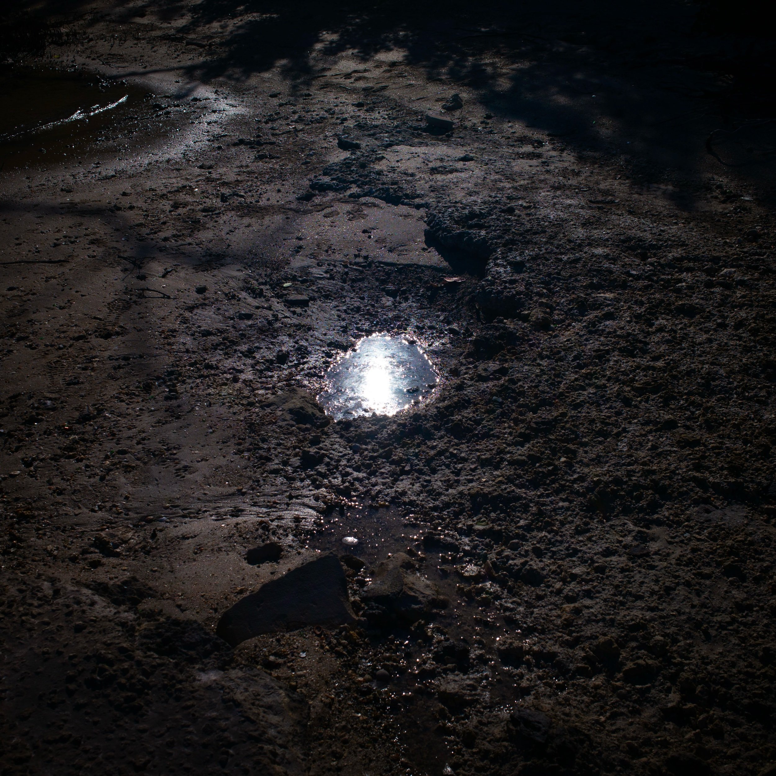 L1001179_1.jpeg