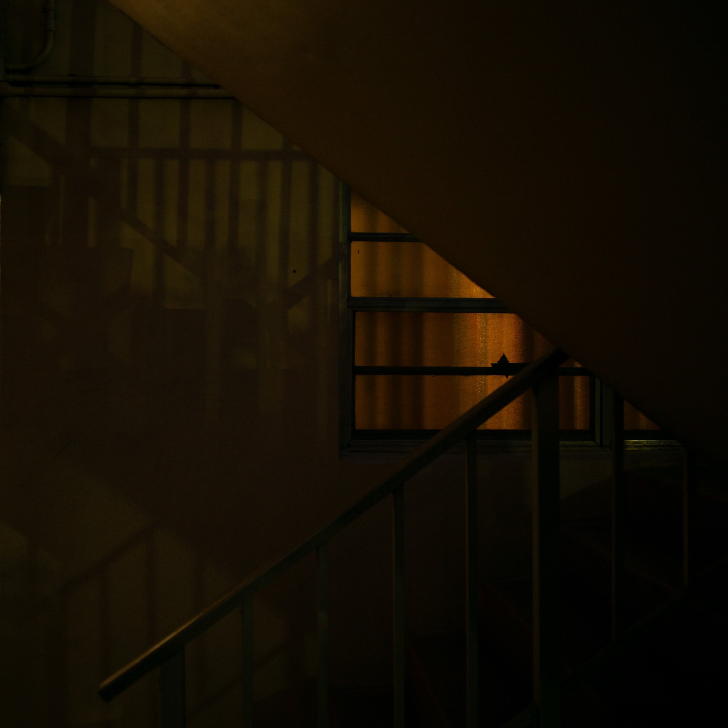 L1002047_2.jpeg