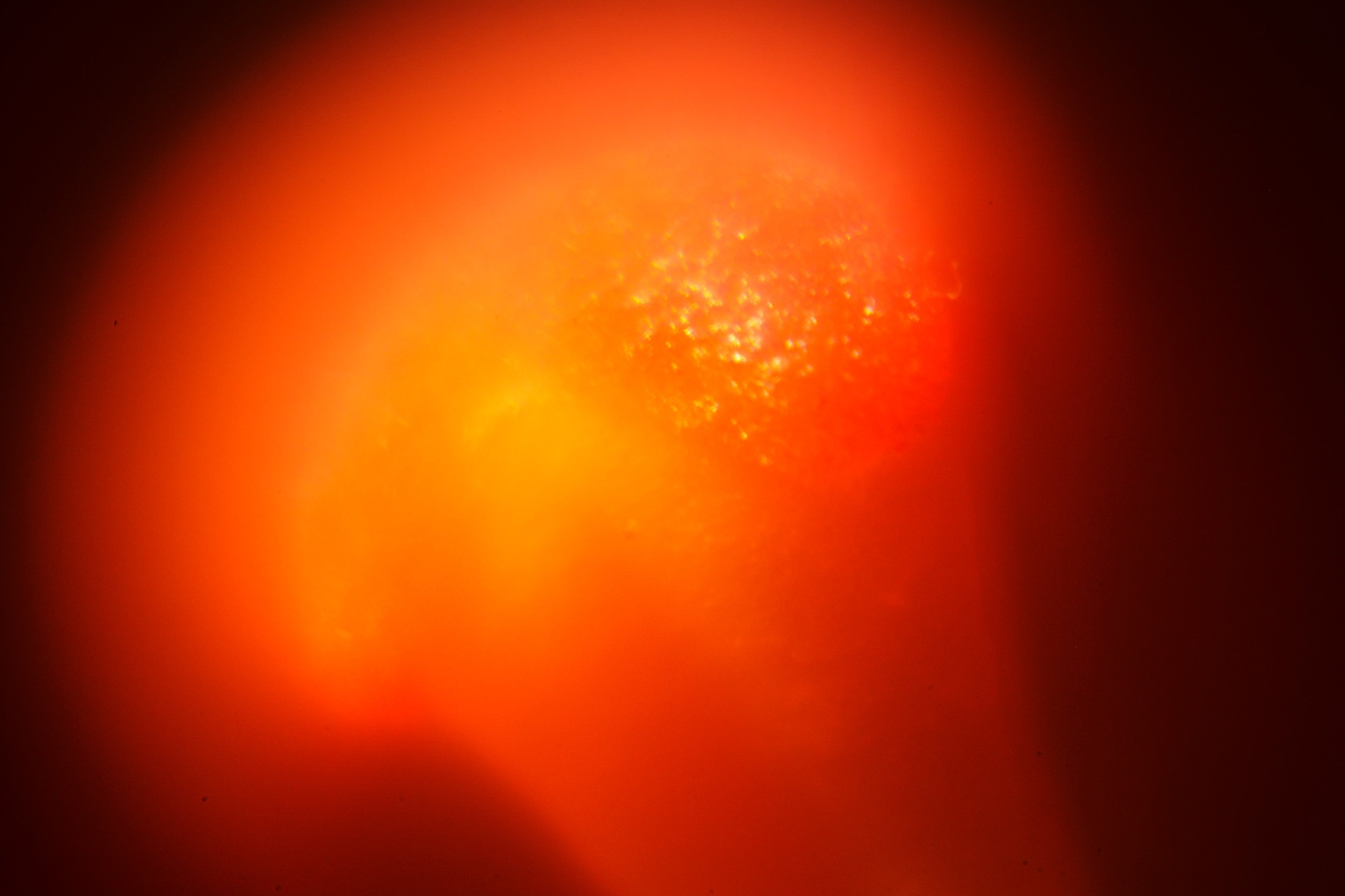L1002401.jpeg