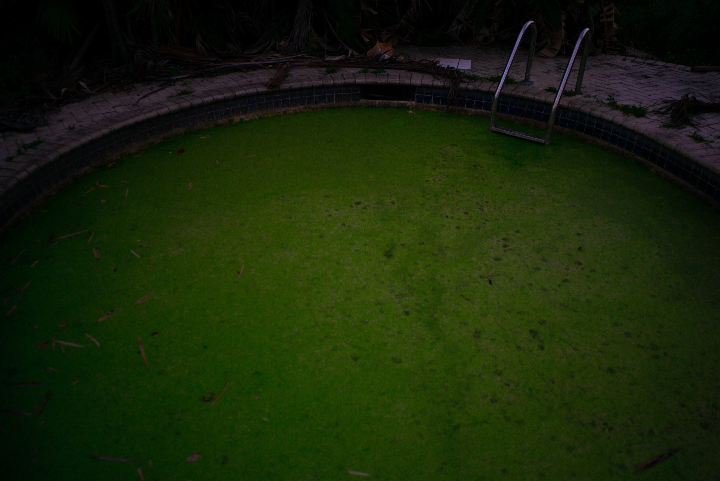 L1001731_1.jpeg
