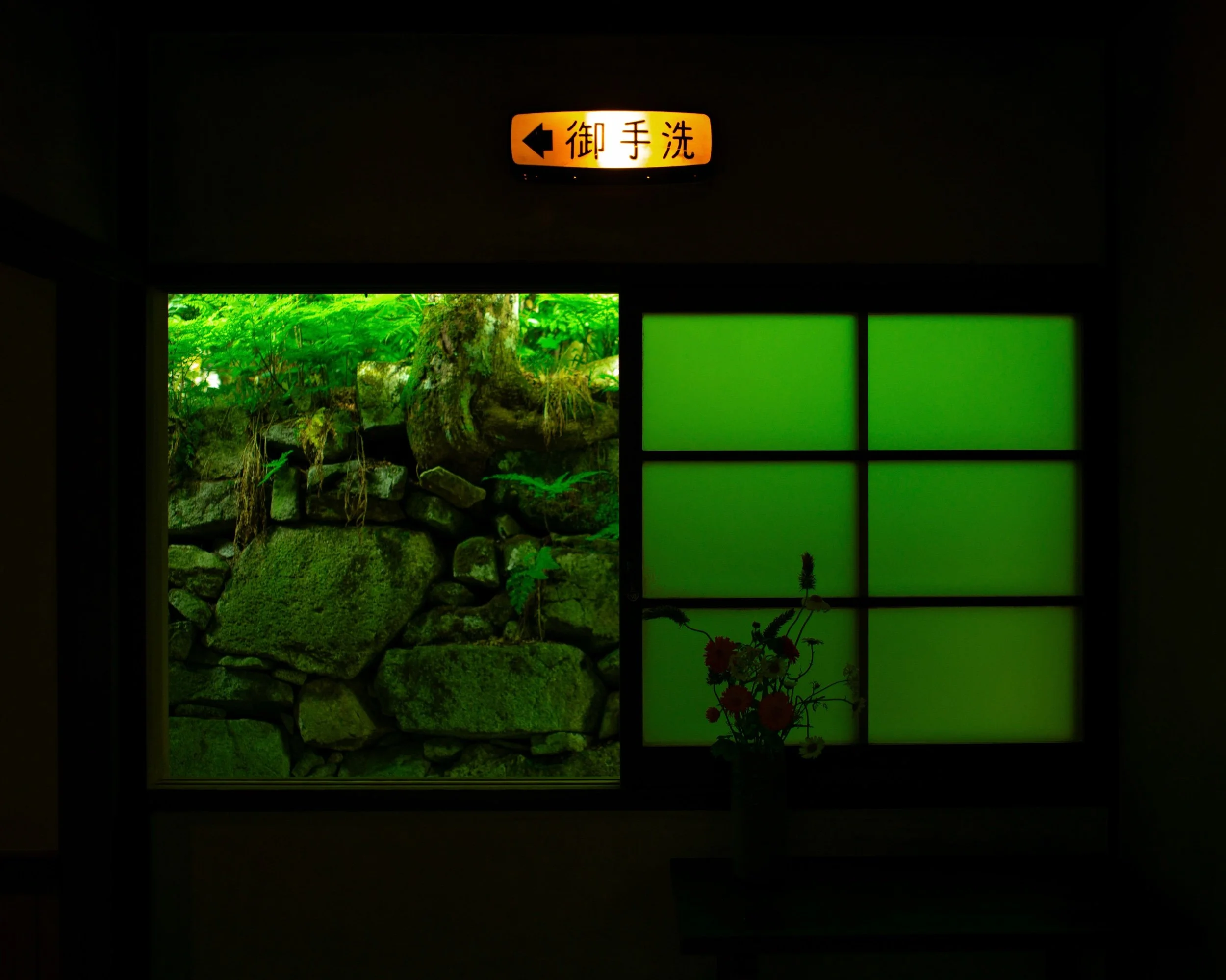L1004218_1.jpeg