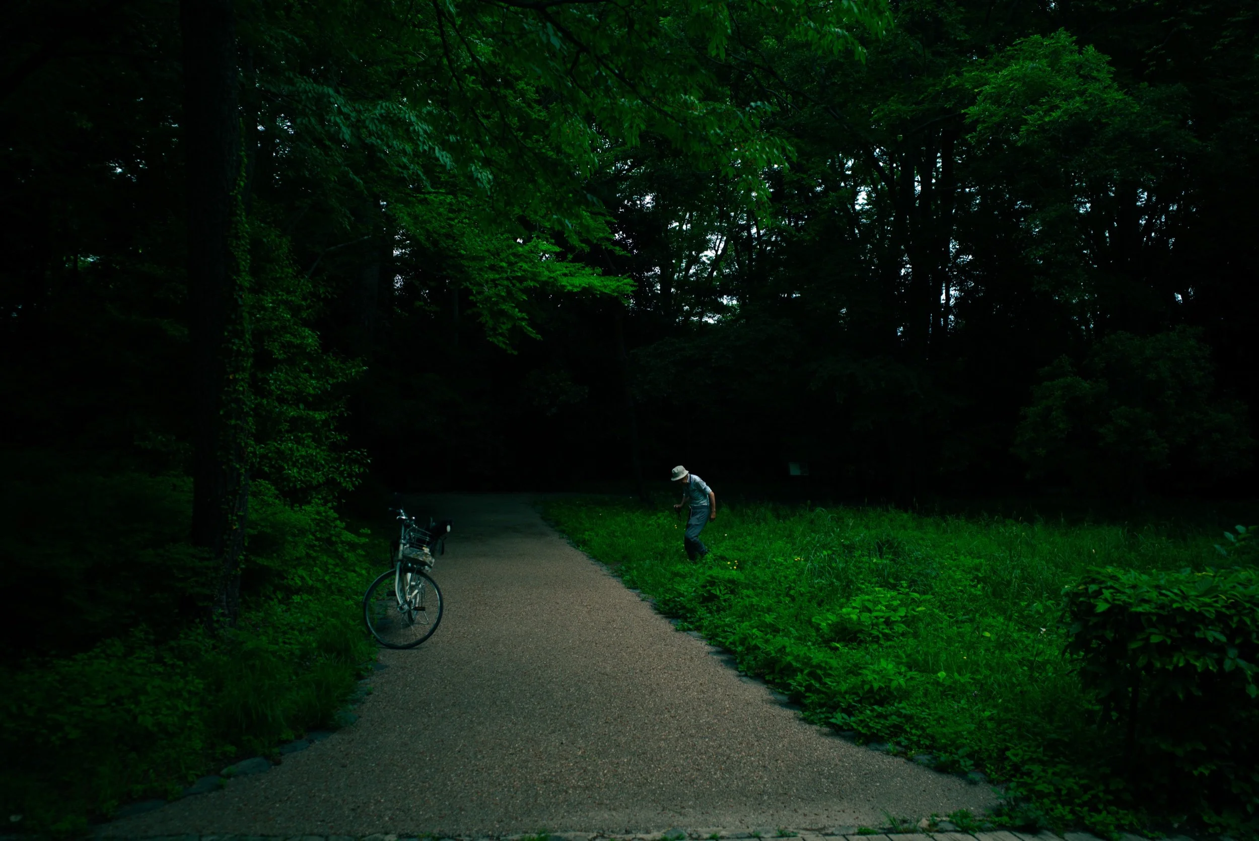 L1004150_1.jpeg