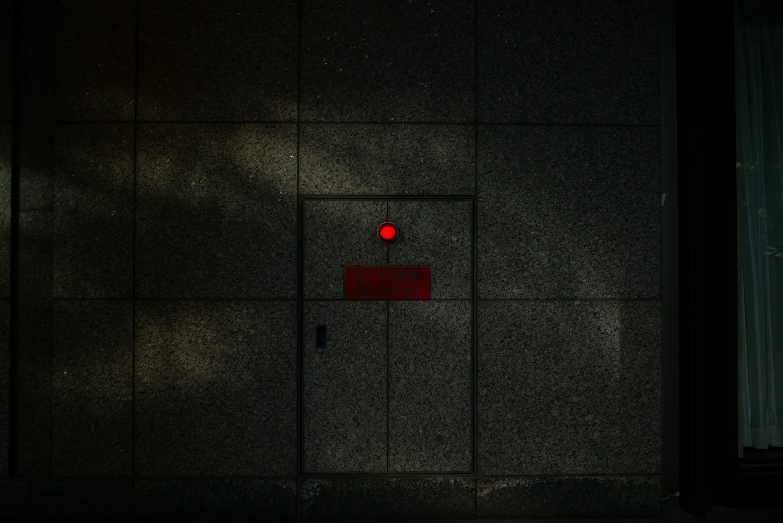 L1003601_1.jpeg