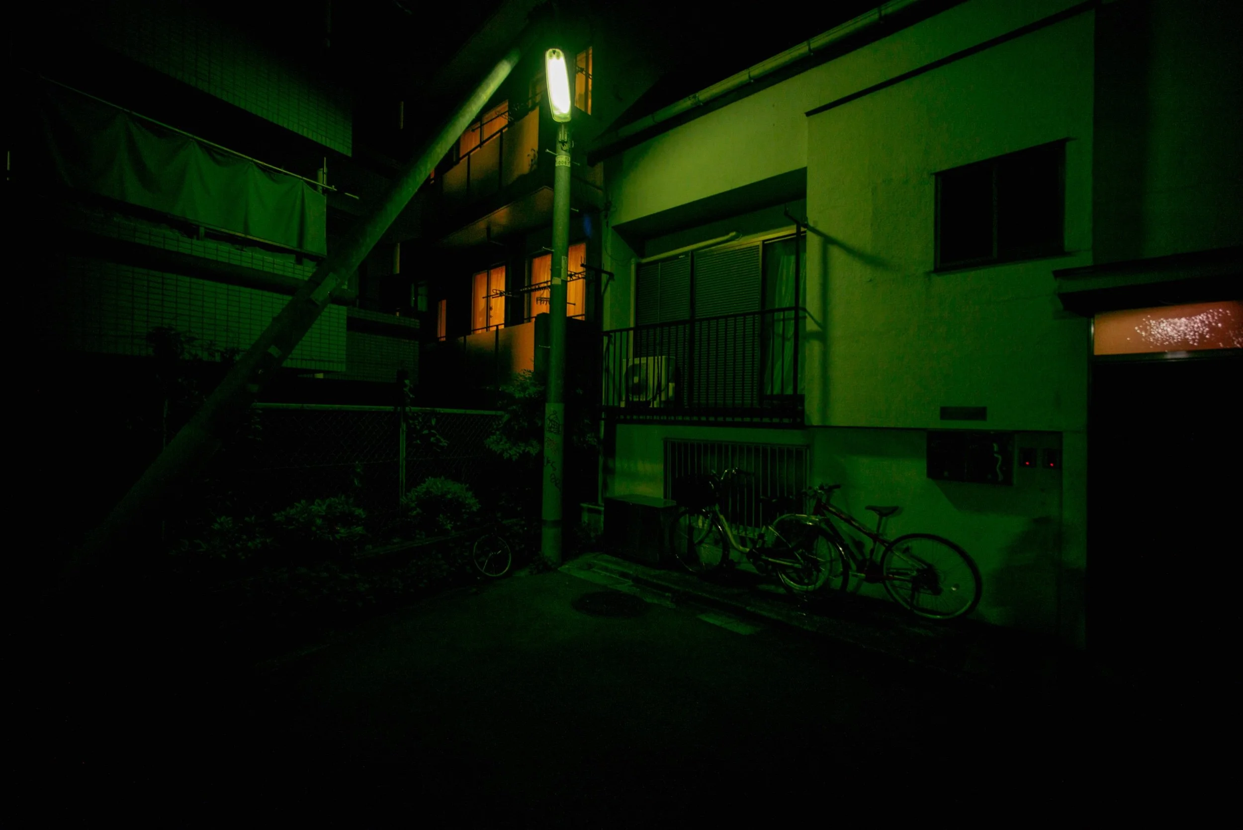 L1003215_1.jpeg