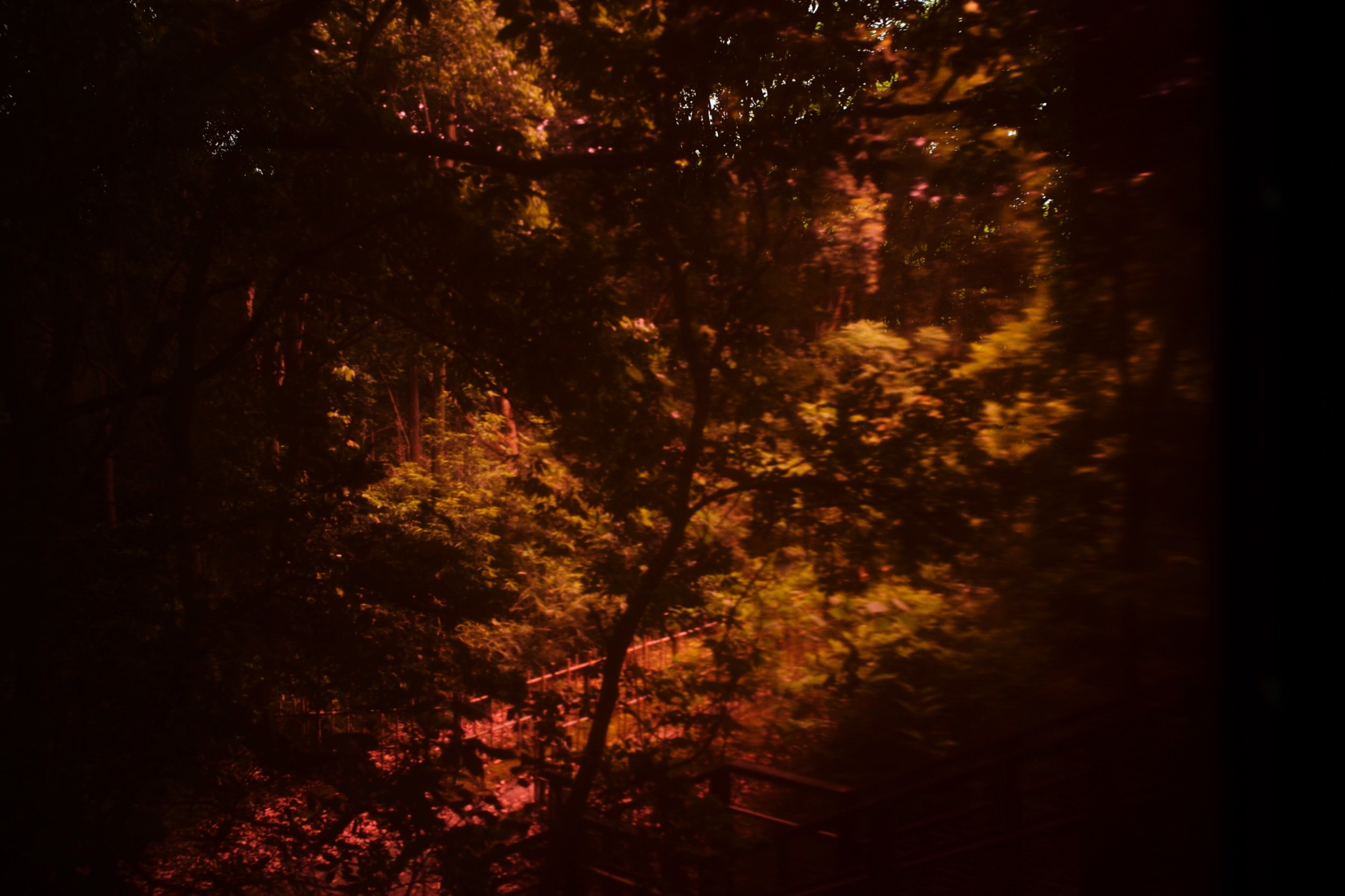 L1003836.jpeg