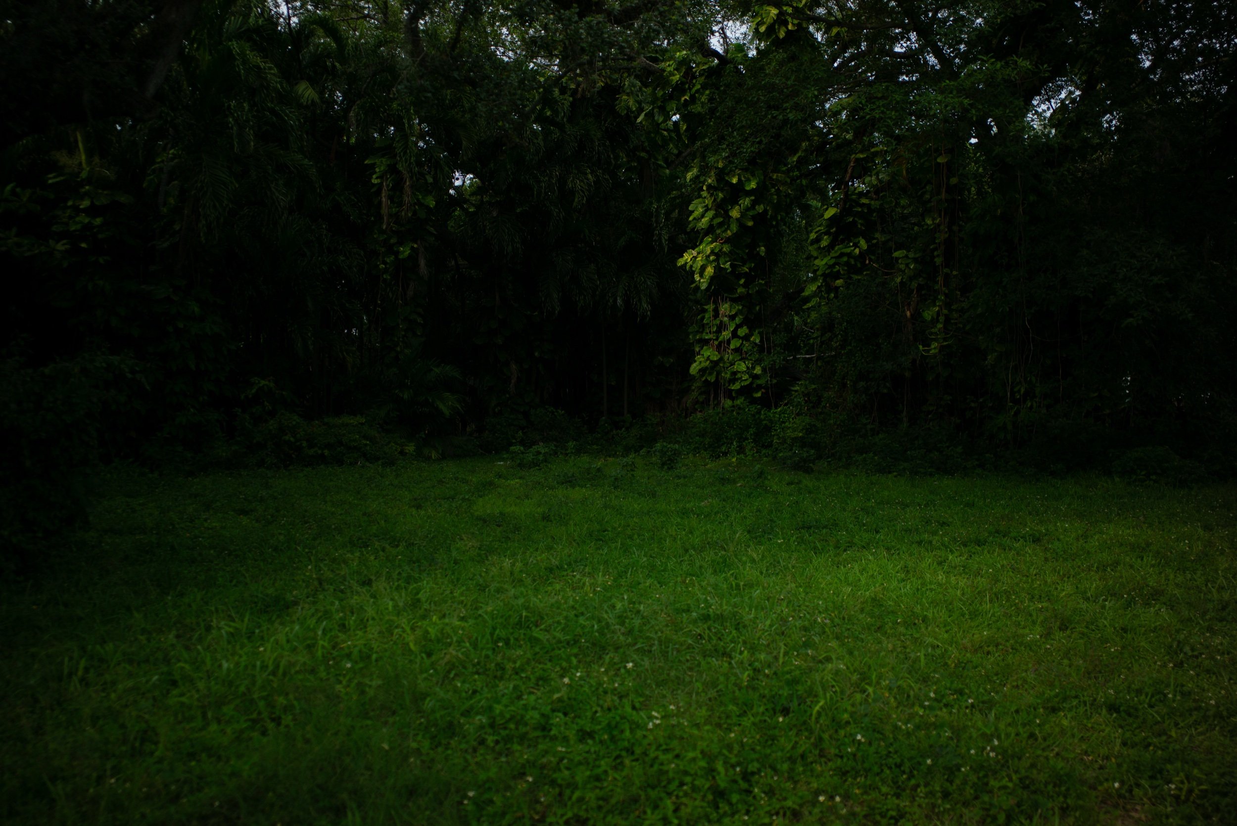 L1004506_1.jpeg