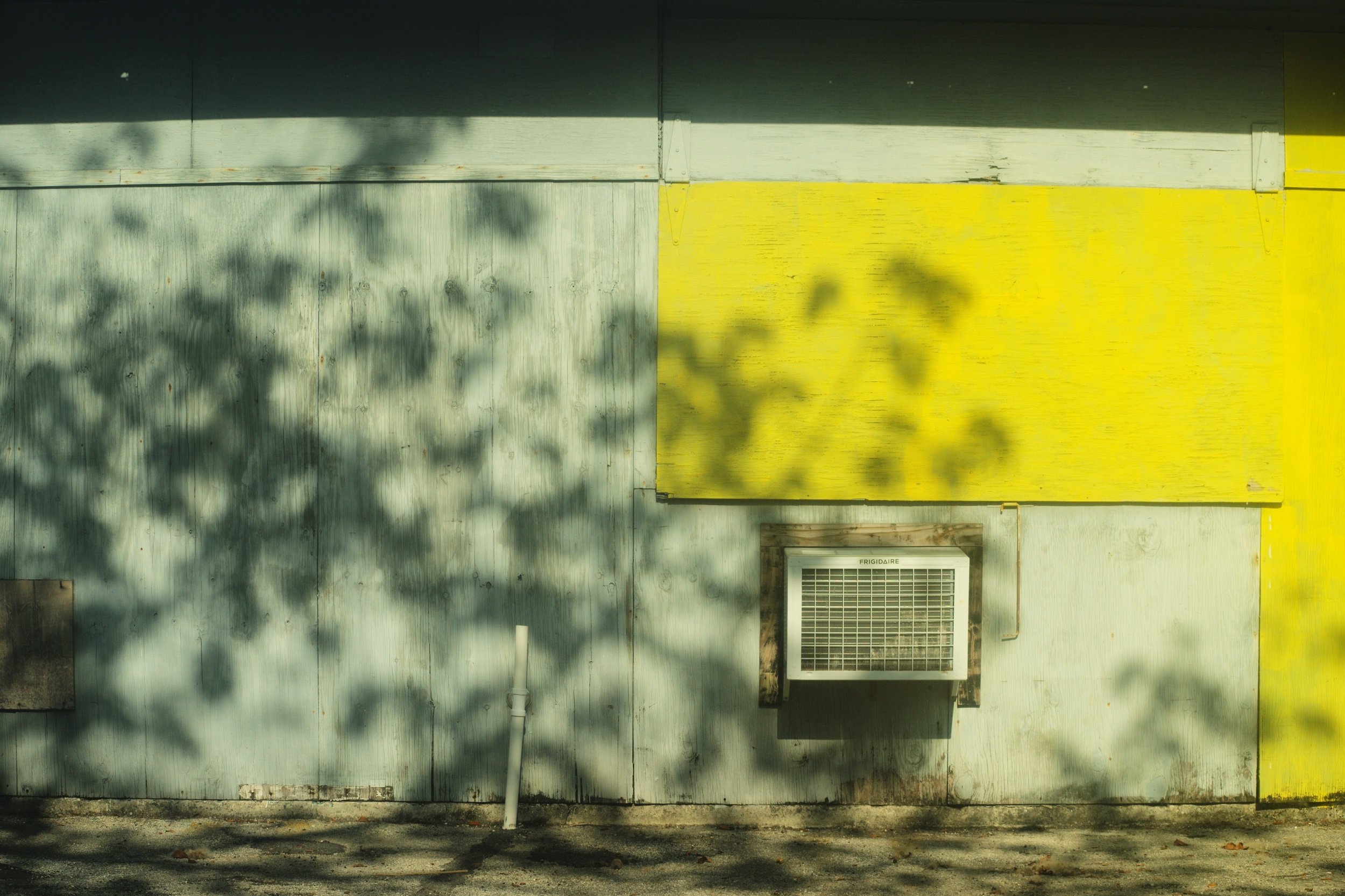 L1002695.jpeg